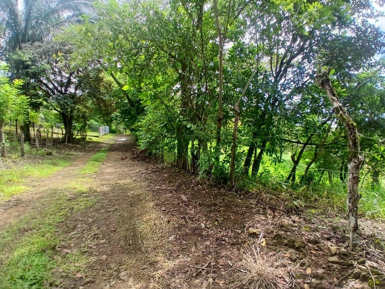 res-0000658b-04.jpg