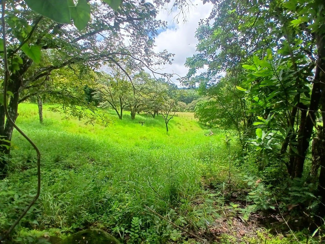 res-0000658b-06.jpg