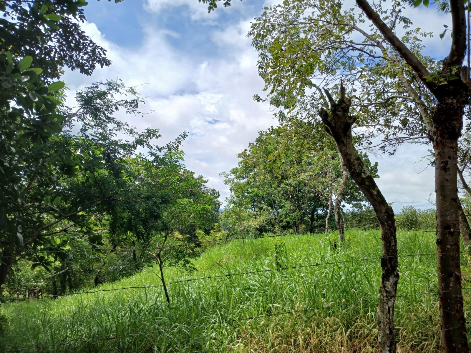 res-0000658b-07.jpg