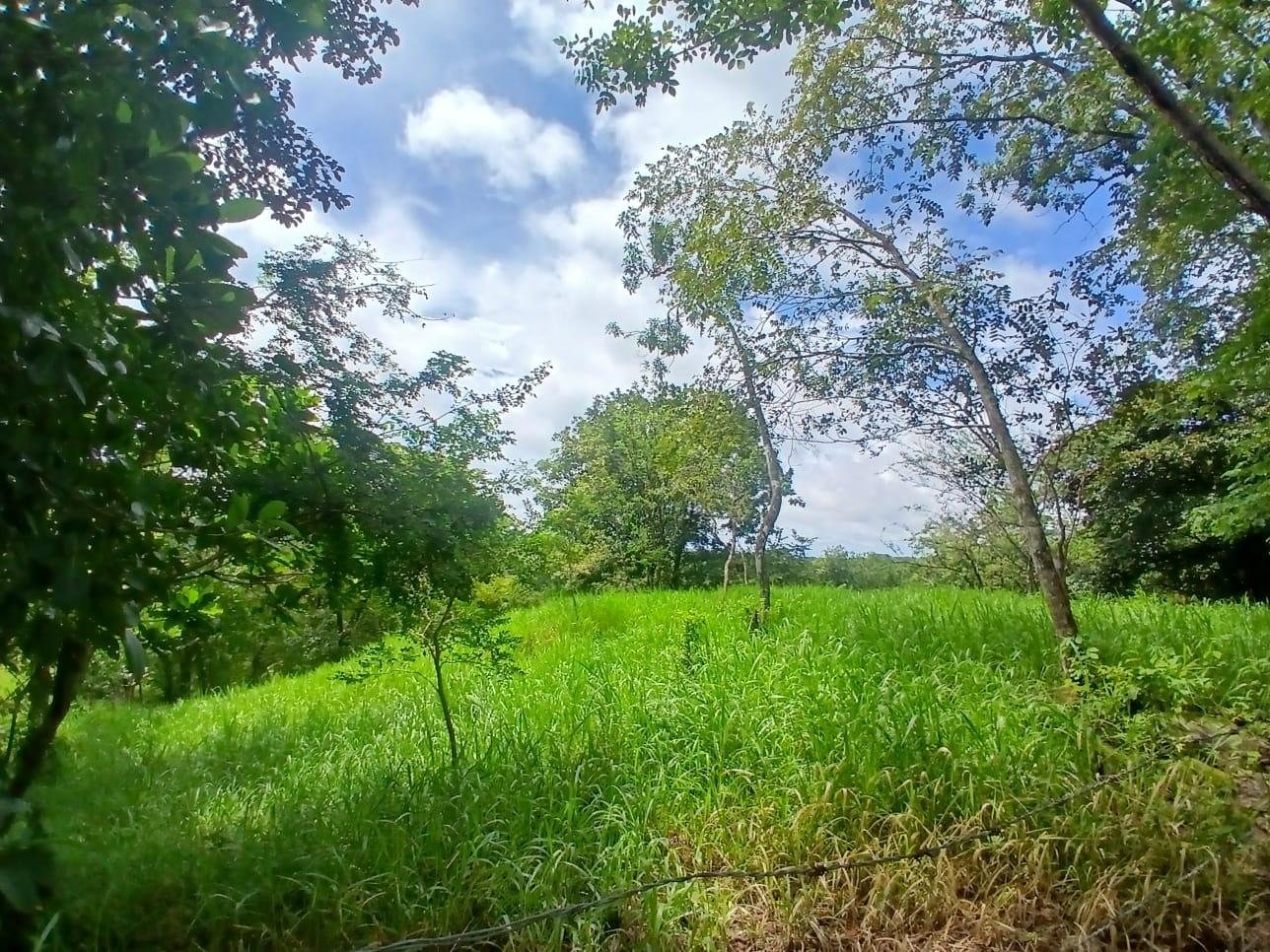 res-0000658b-08.jpg
