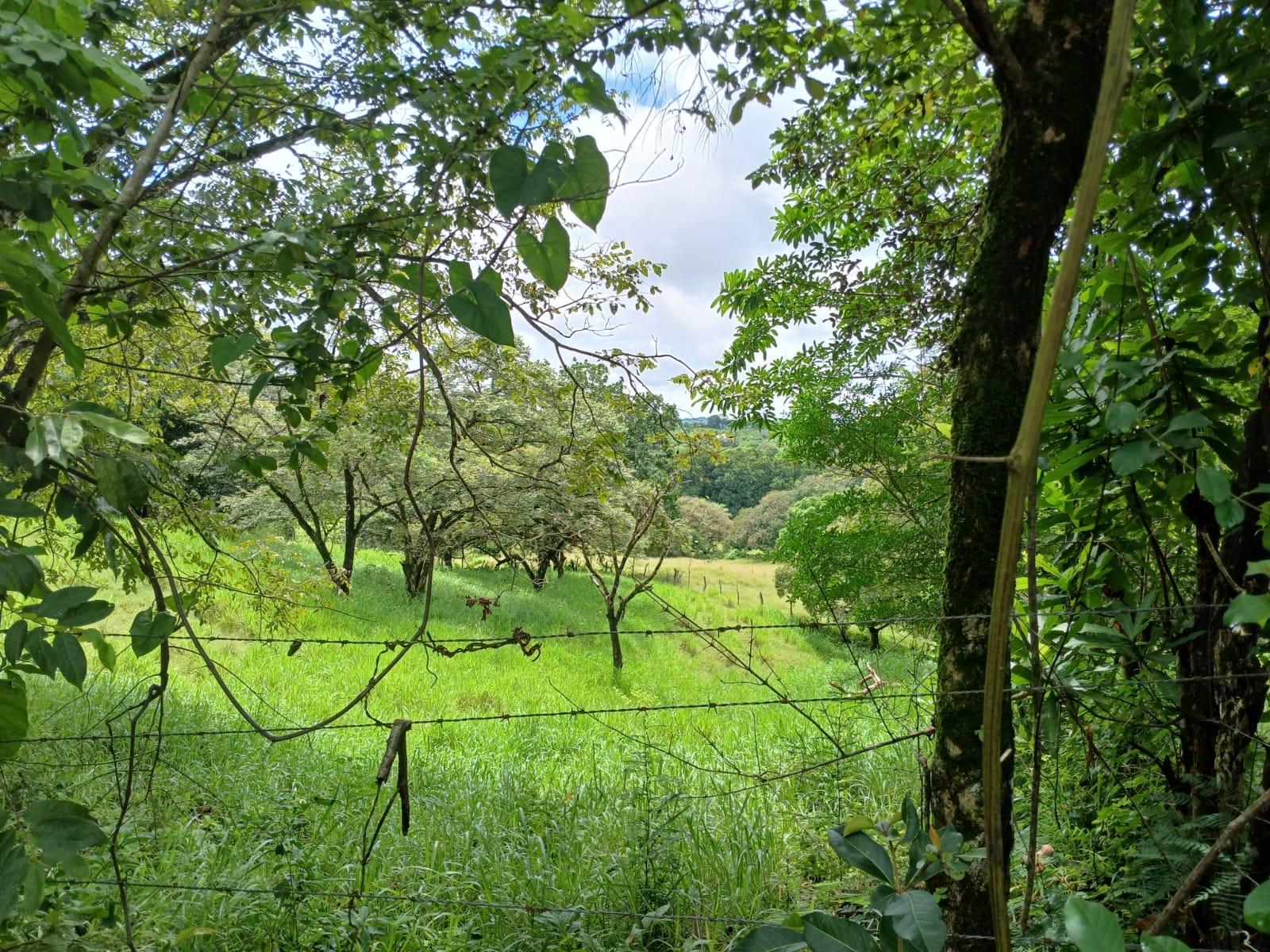 res-0000658b-09.jpg