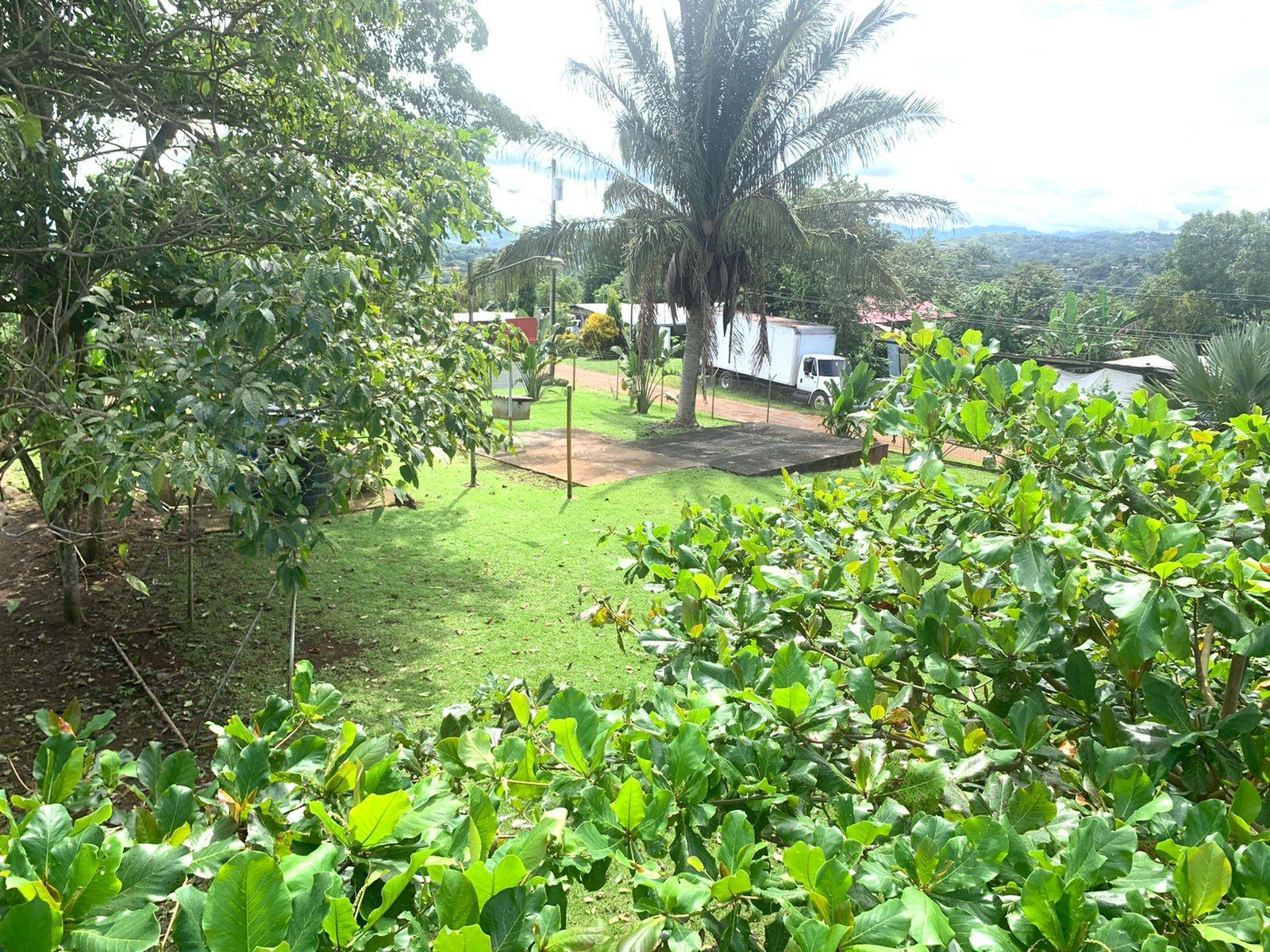 res-0000658d-13.jpg