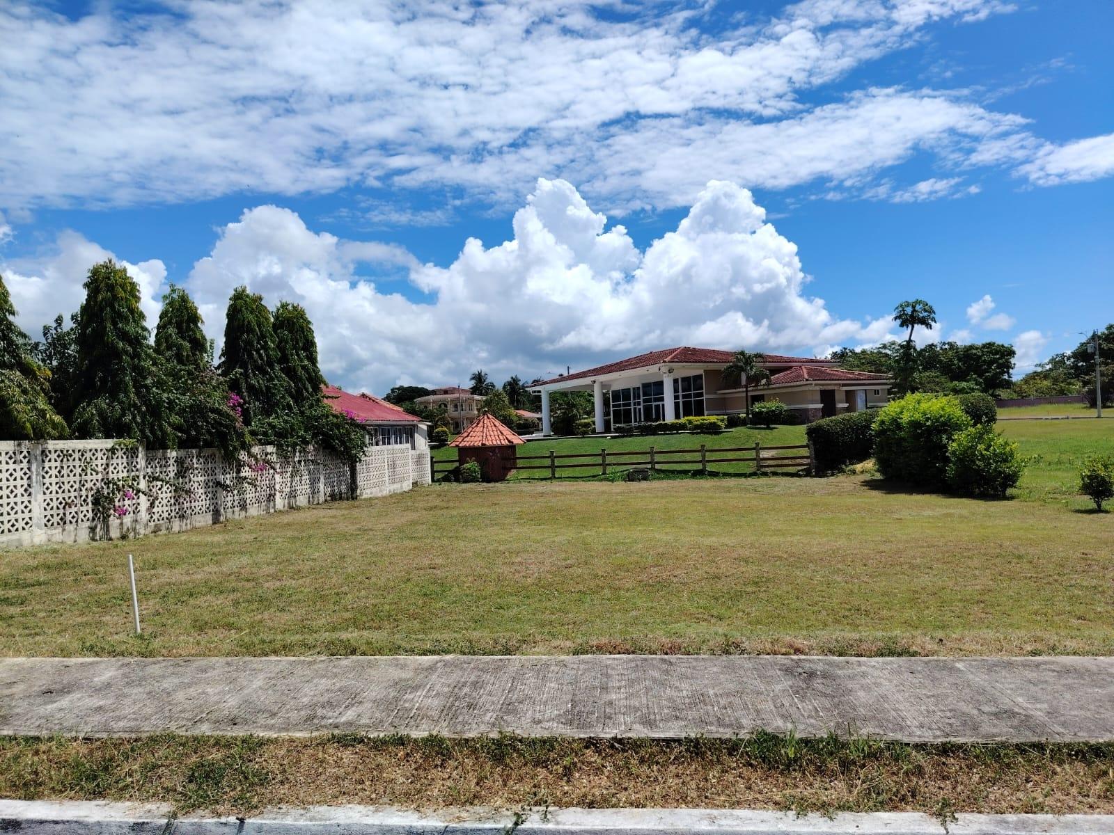 res-00006590-01.jpg