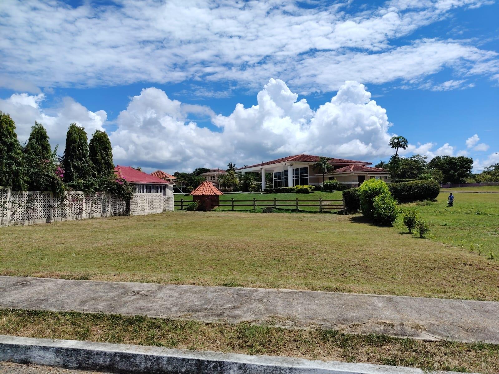 res-00006590-02.jpg