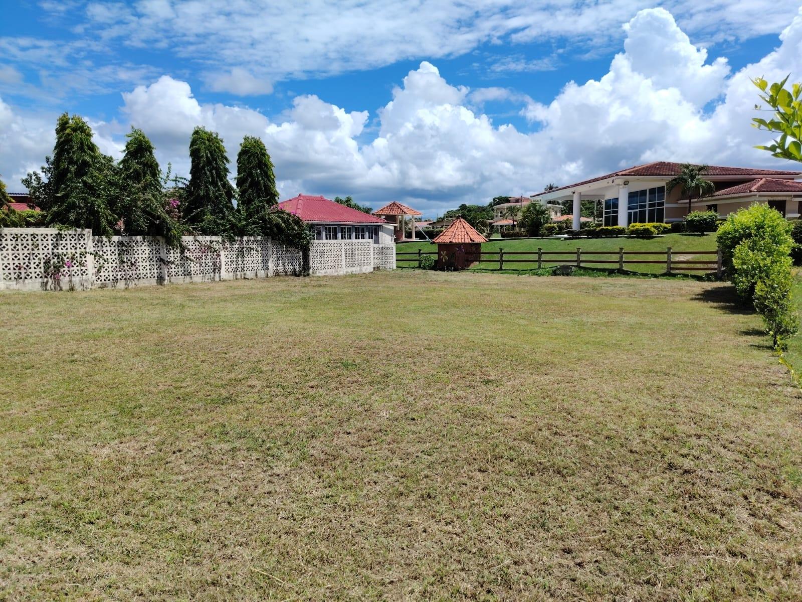 res-00006590-04.jpg