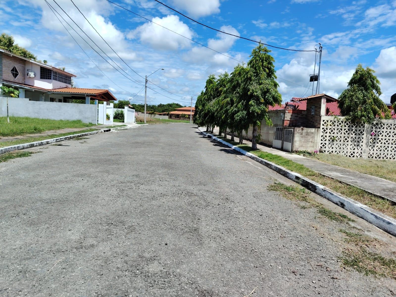 res-00006590-05.jpg