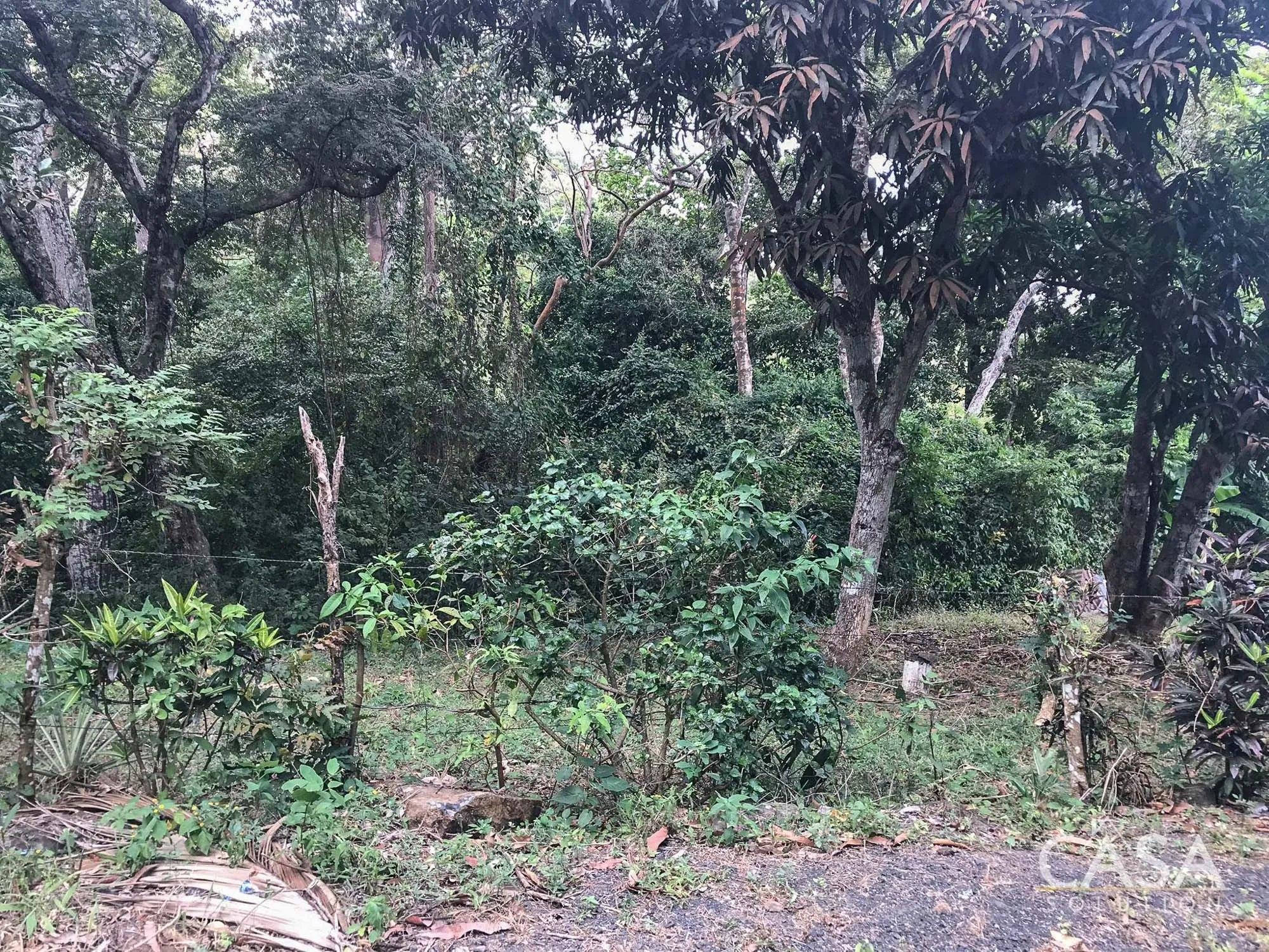 res-000065a1-08.jpg