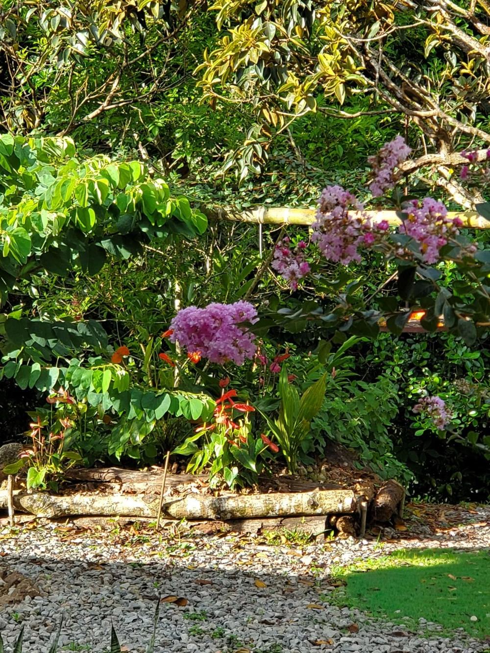 res-000065a7-18.jpg