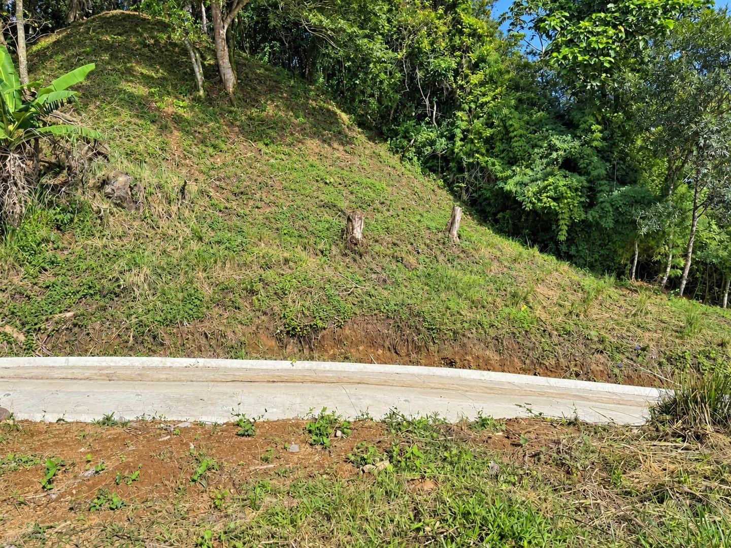 res-000065c2-13.jpg