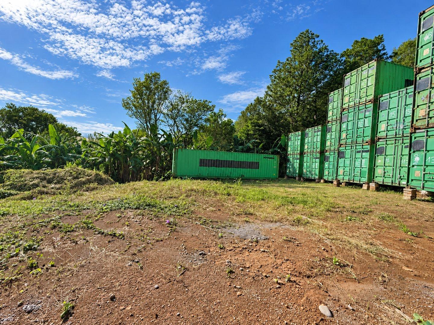 res-000065c2-14.jpg