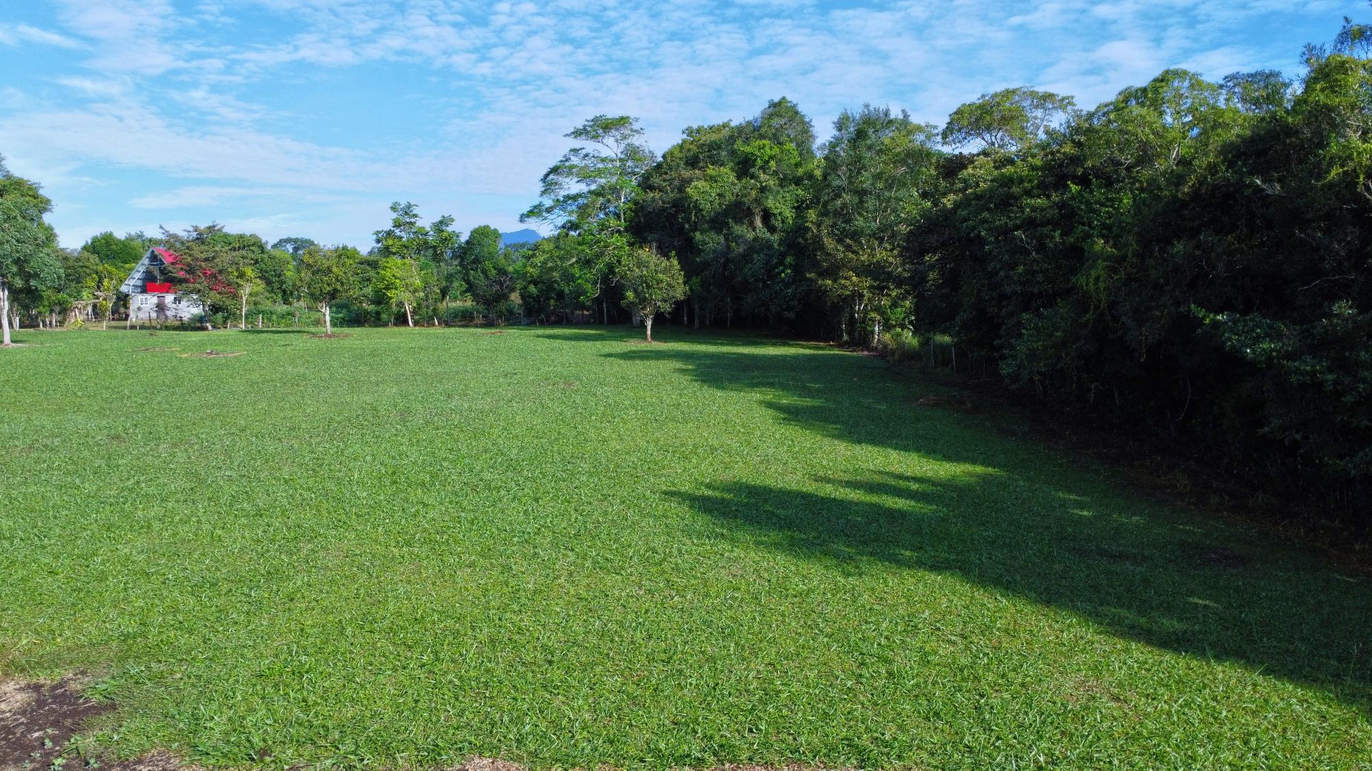res-000065c4-12.jpg
