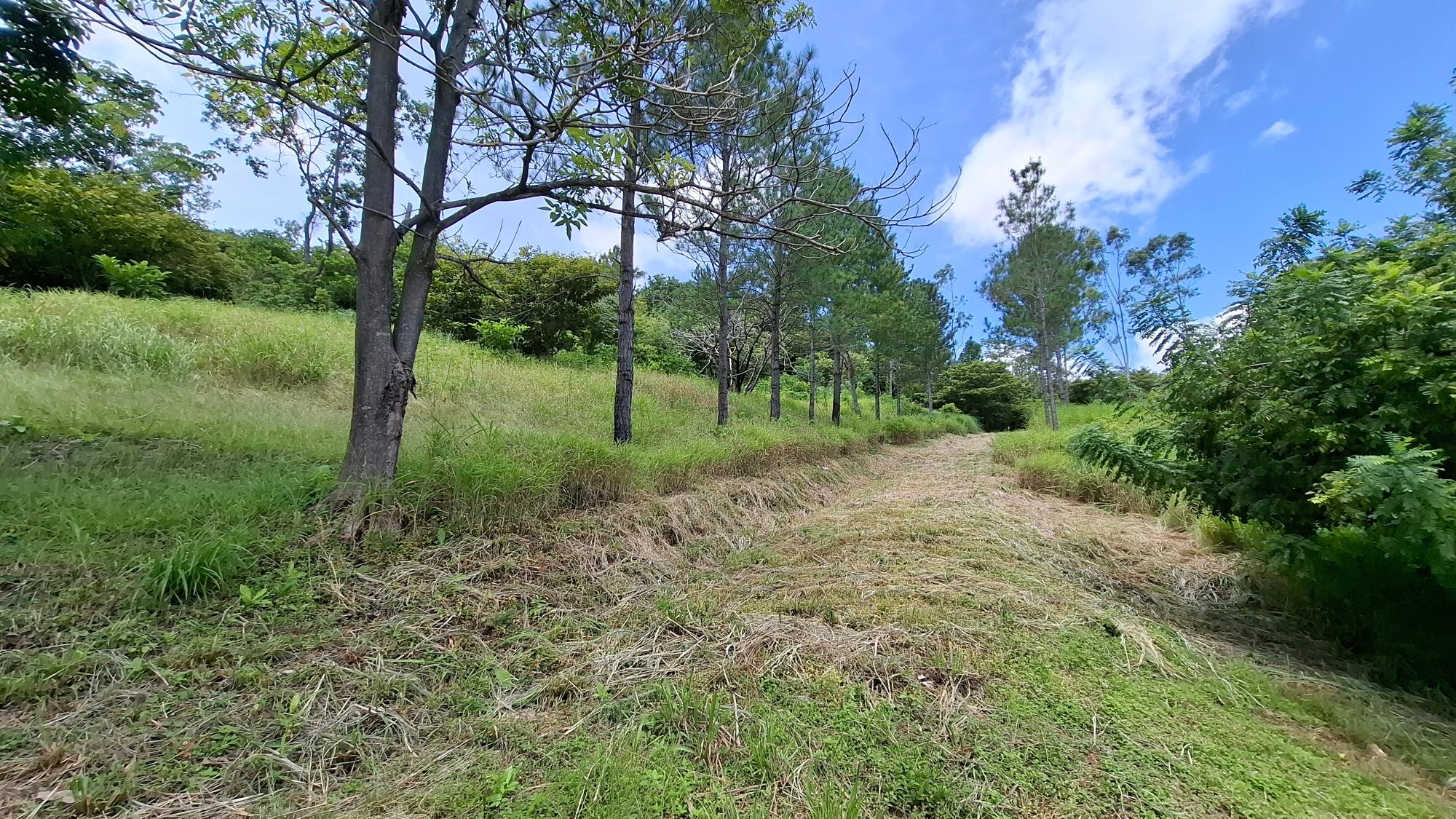 res-000065db-06.jpg