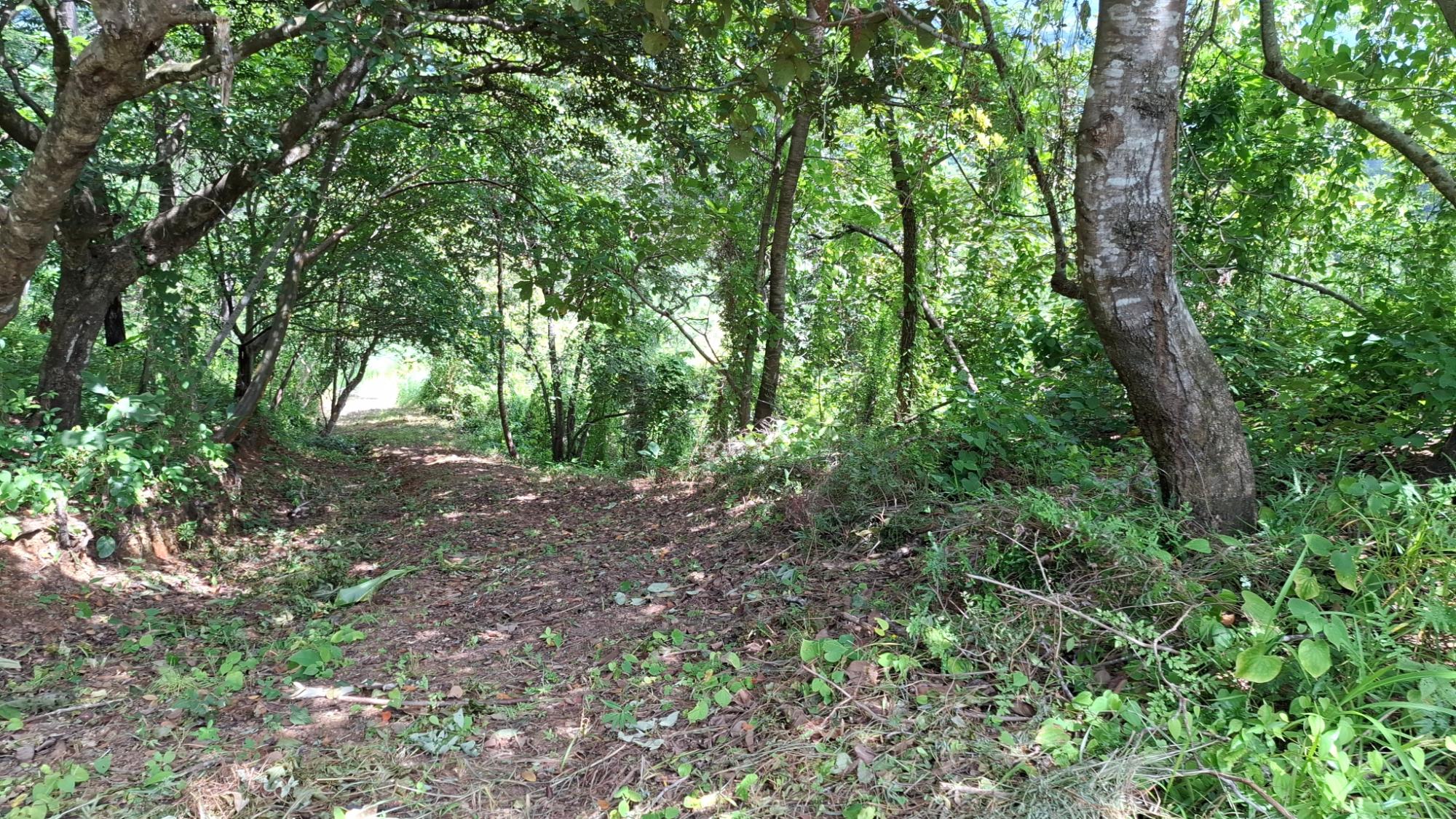 res-000065db-08.jpg