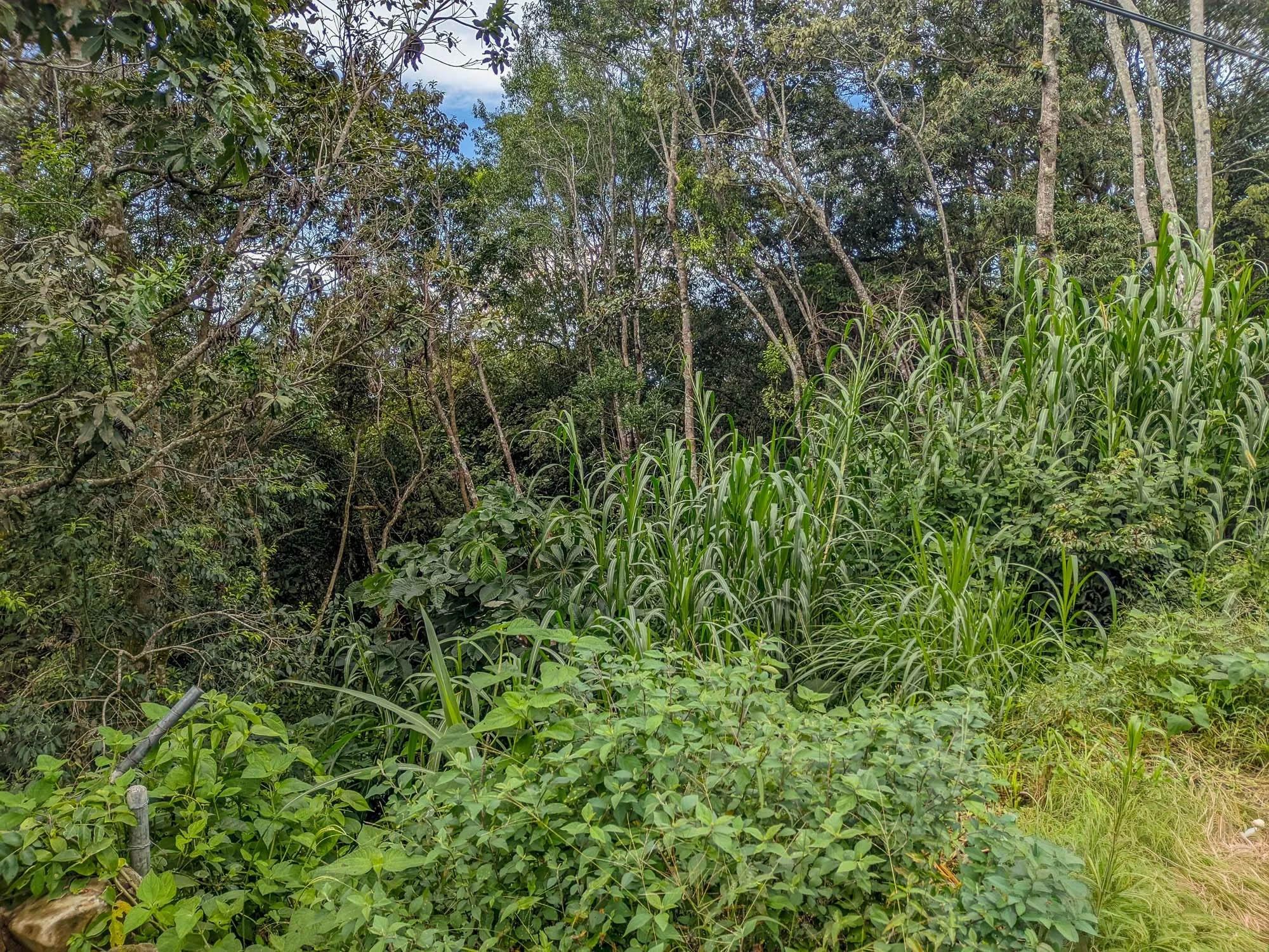 res-000065e7-03.jpg