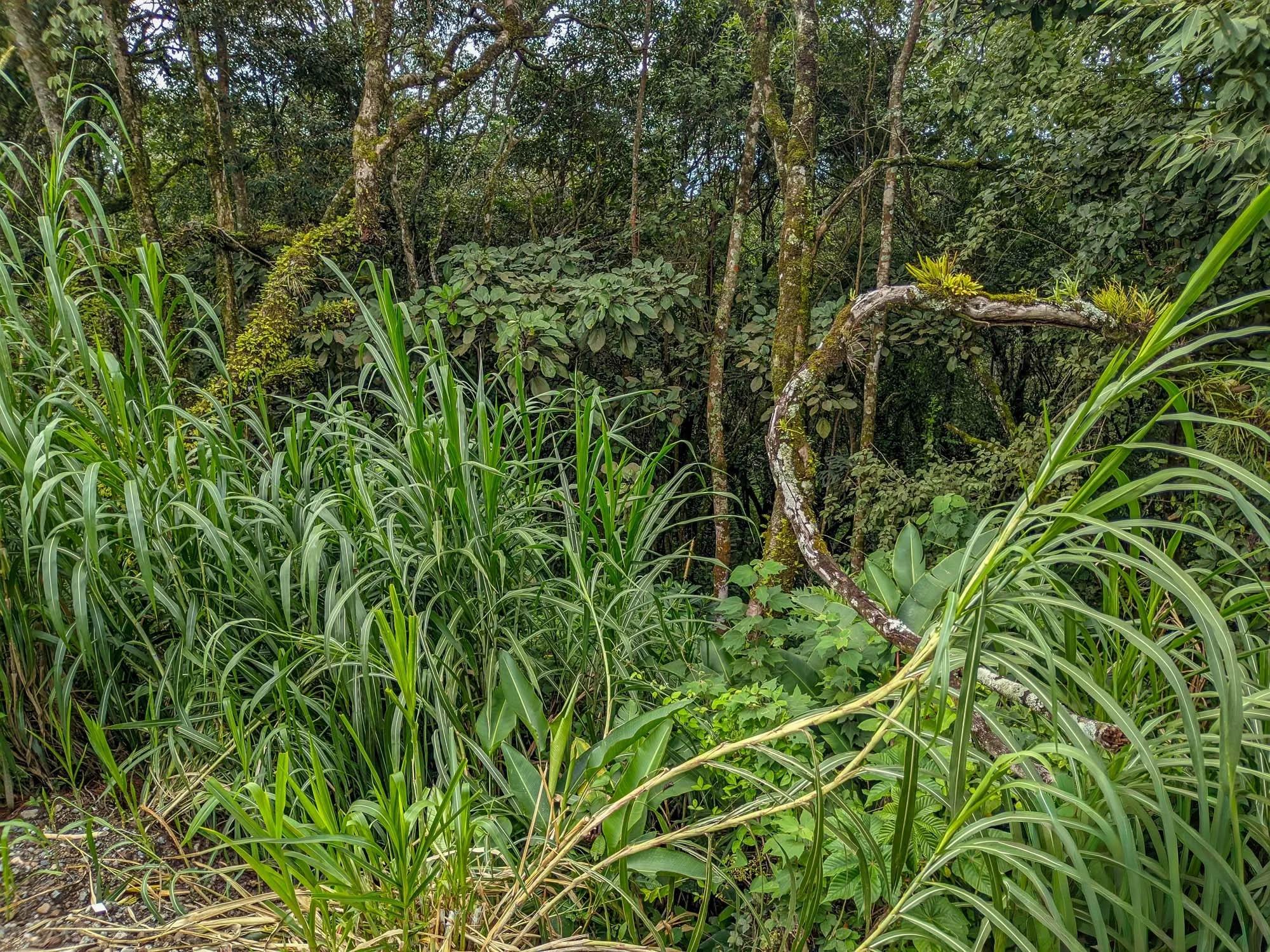 res-000065e7-09.jpg