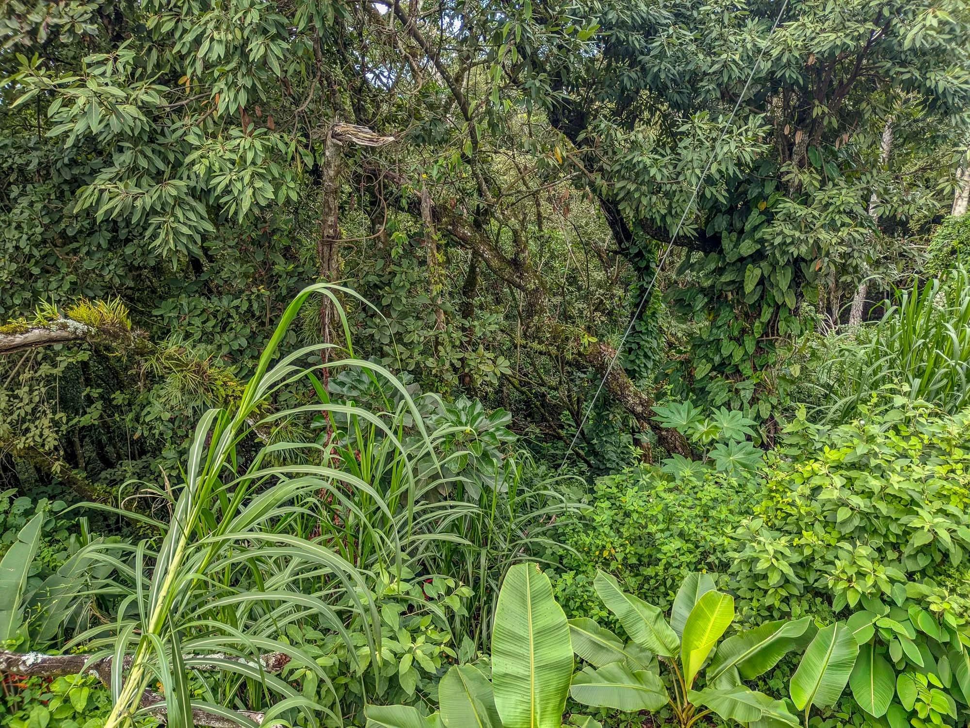 res-000065e7-13.jpg