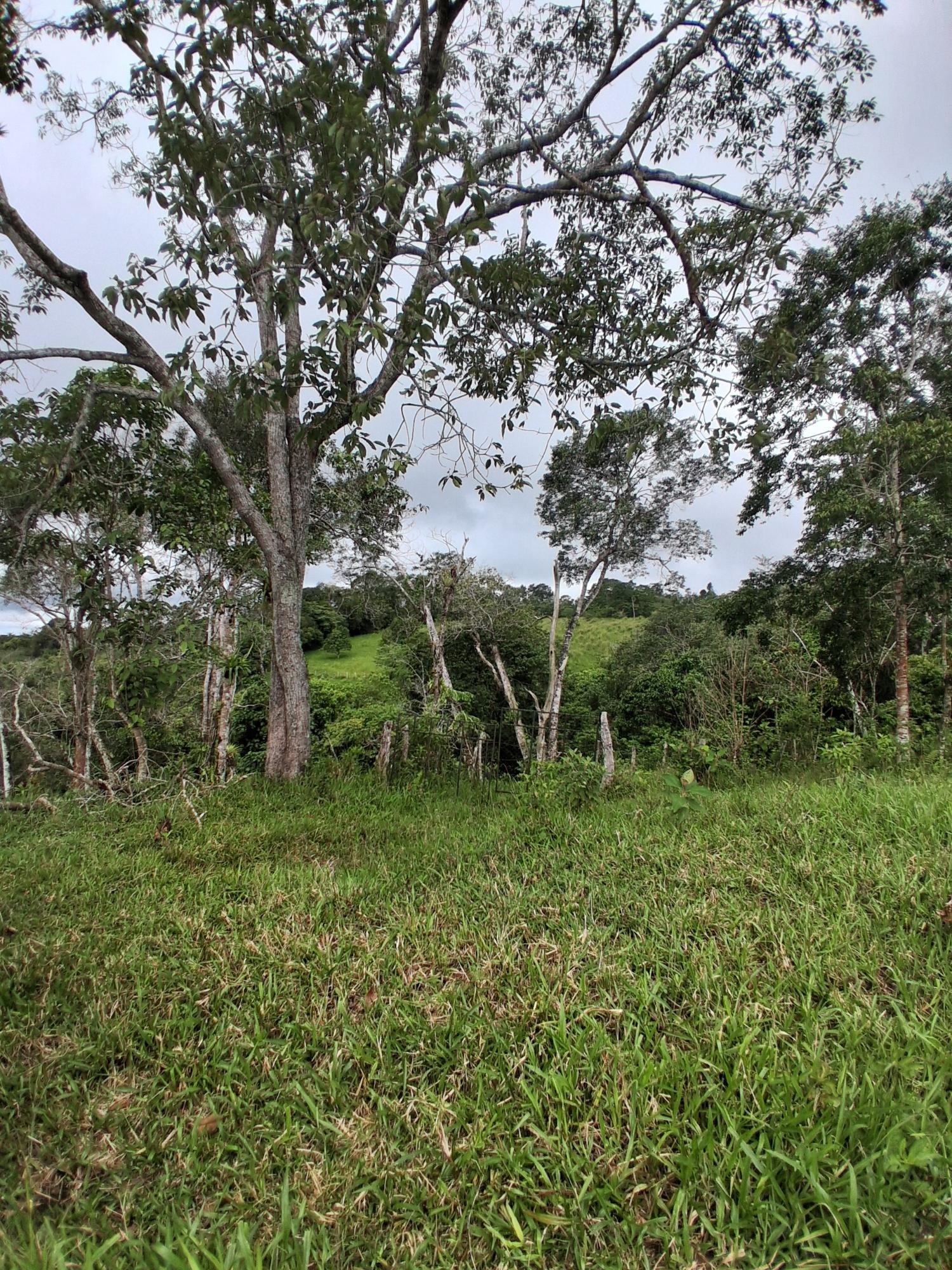 res-000065ed-02.jpg