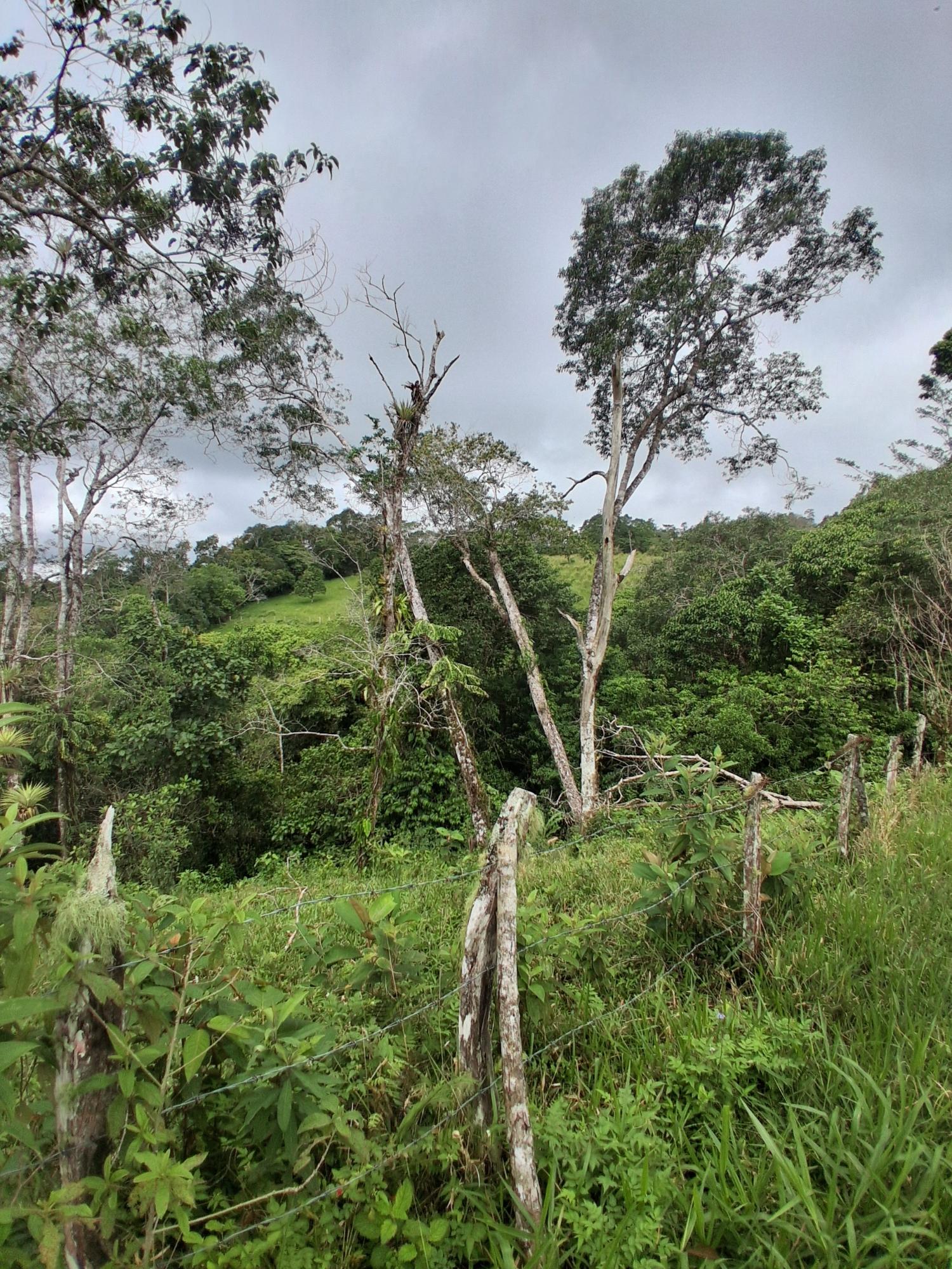 res-000065ed-04.jpg
