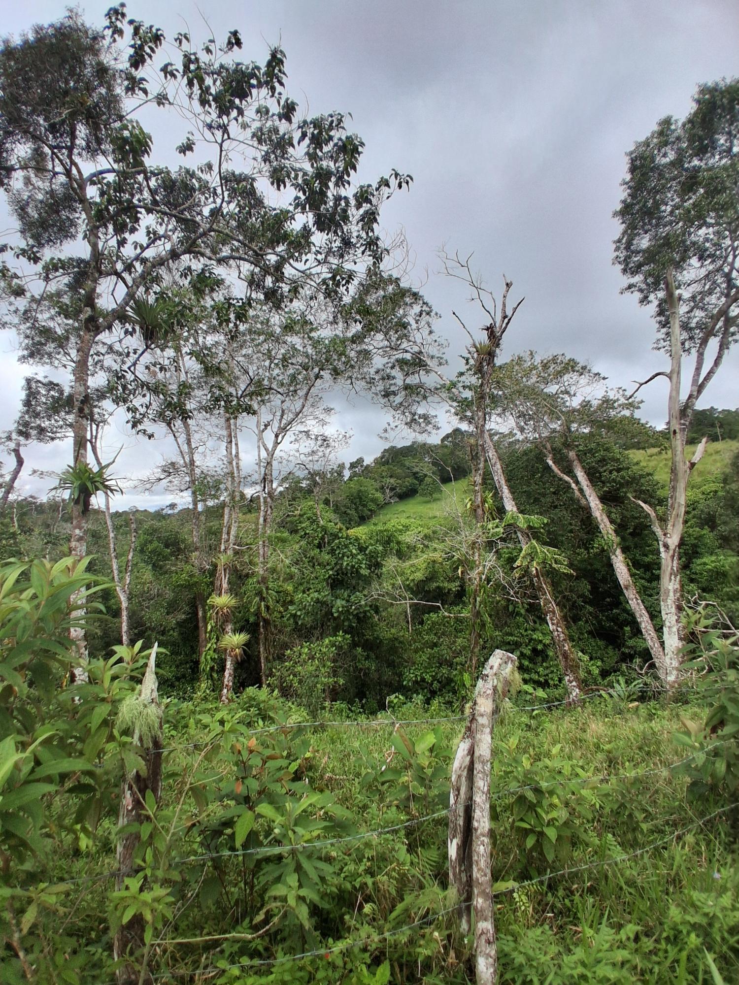 res-000065ed-05.jpg