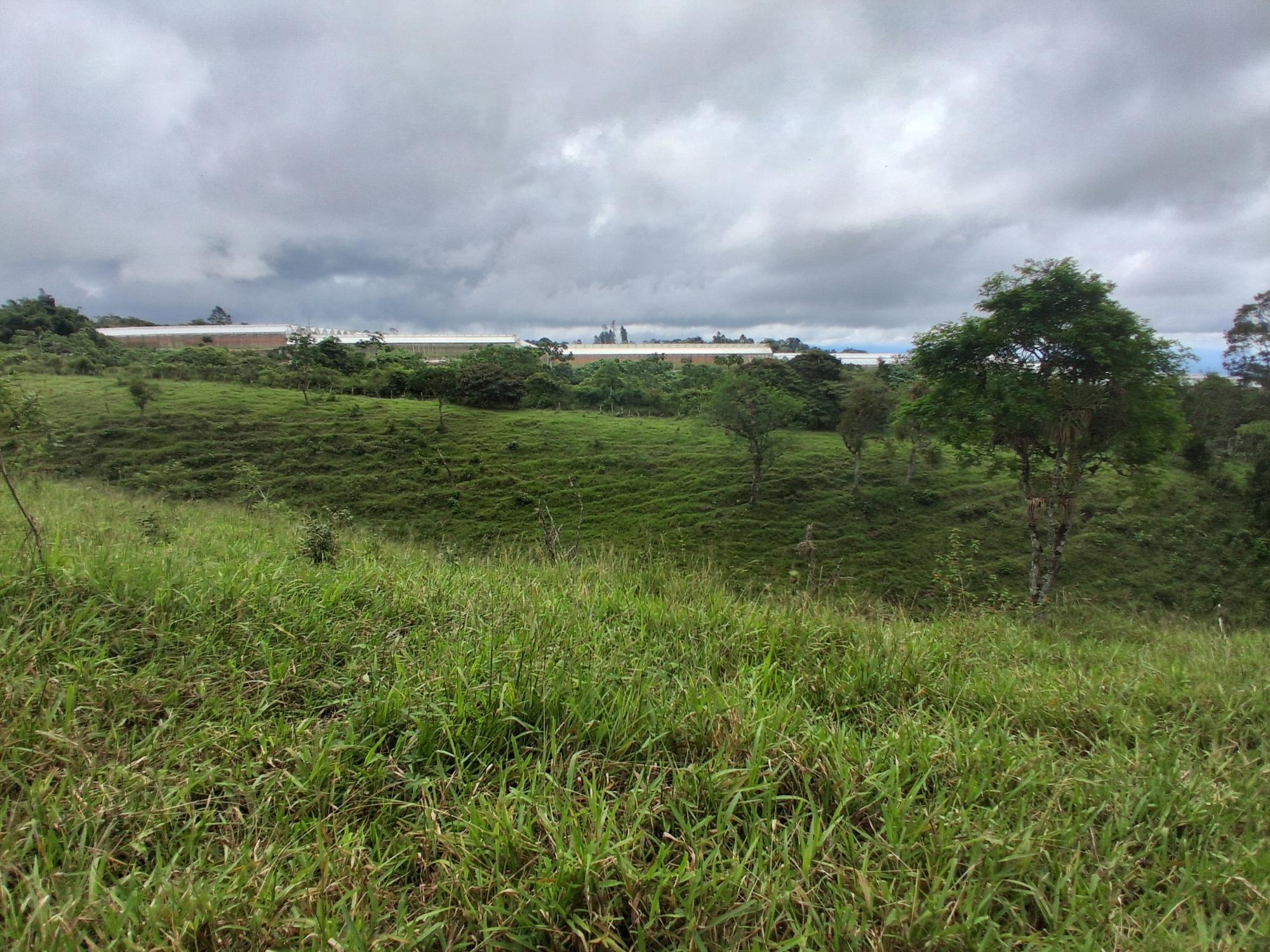res-000065ed-06.jpg