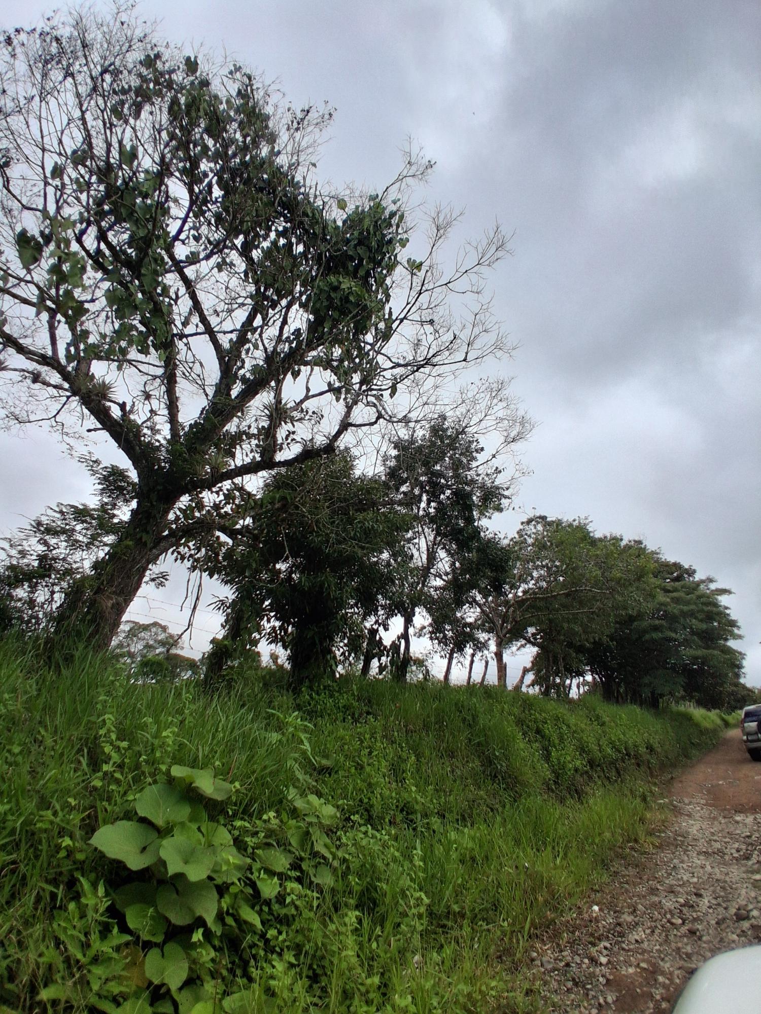 res-000065ed-11.jpg