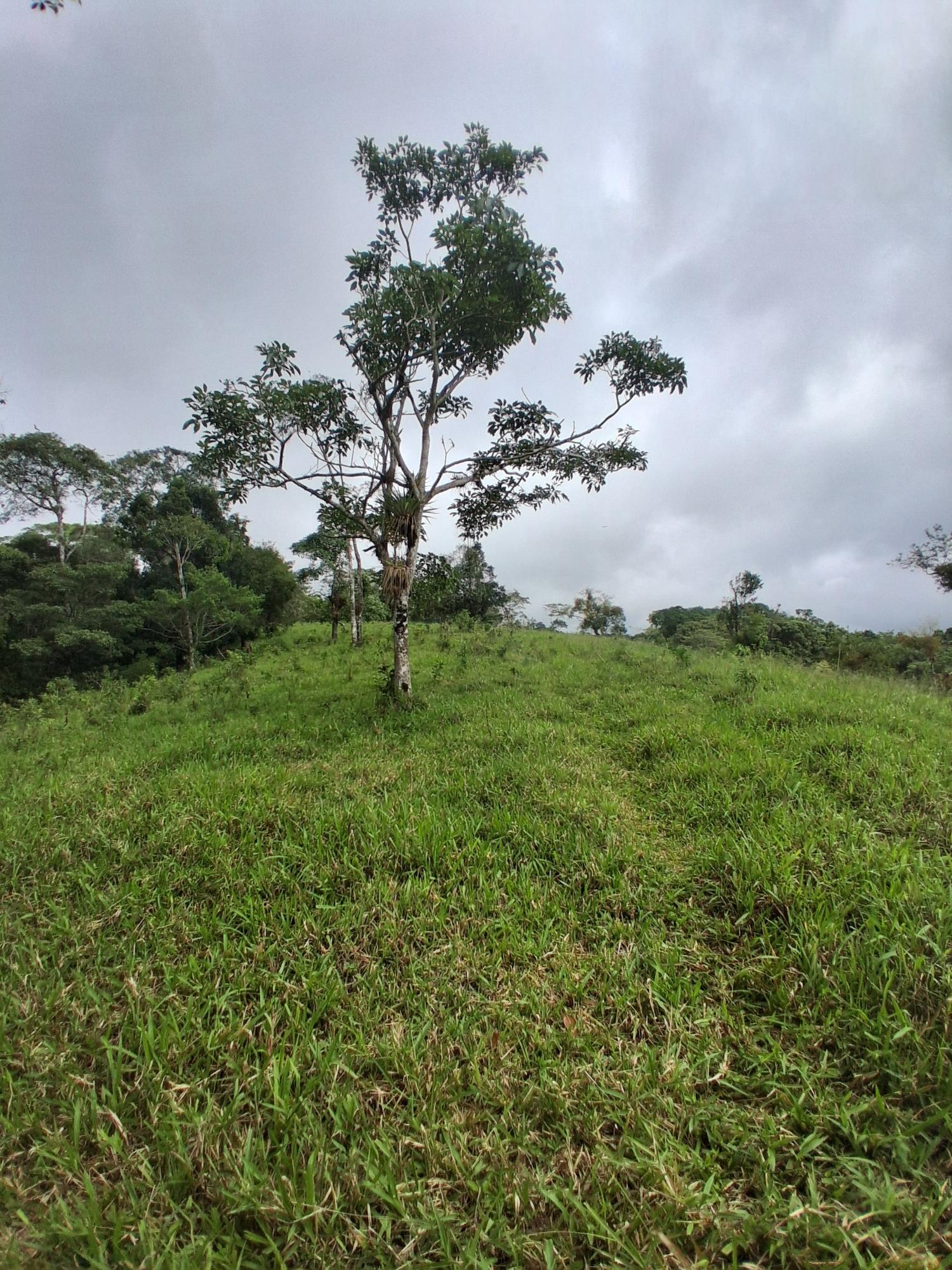 res-000065ed-14.jpg