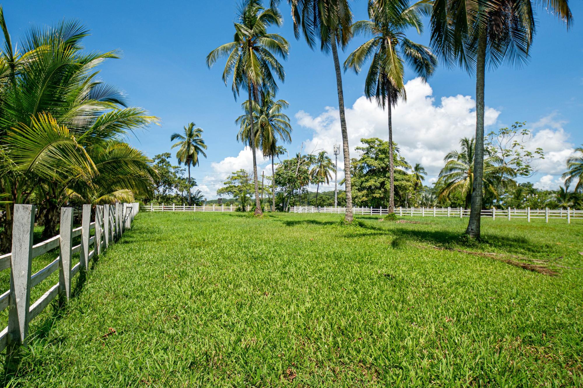 res-000065ee-05.jpg