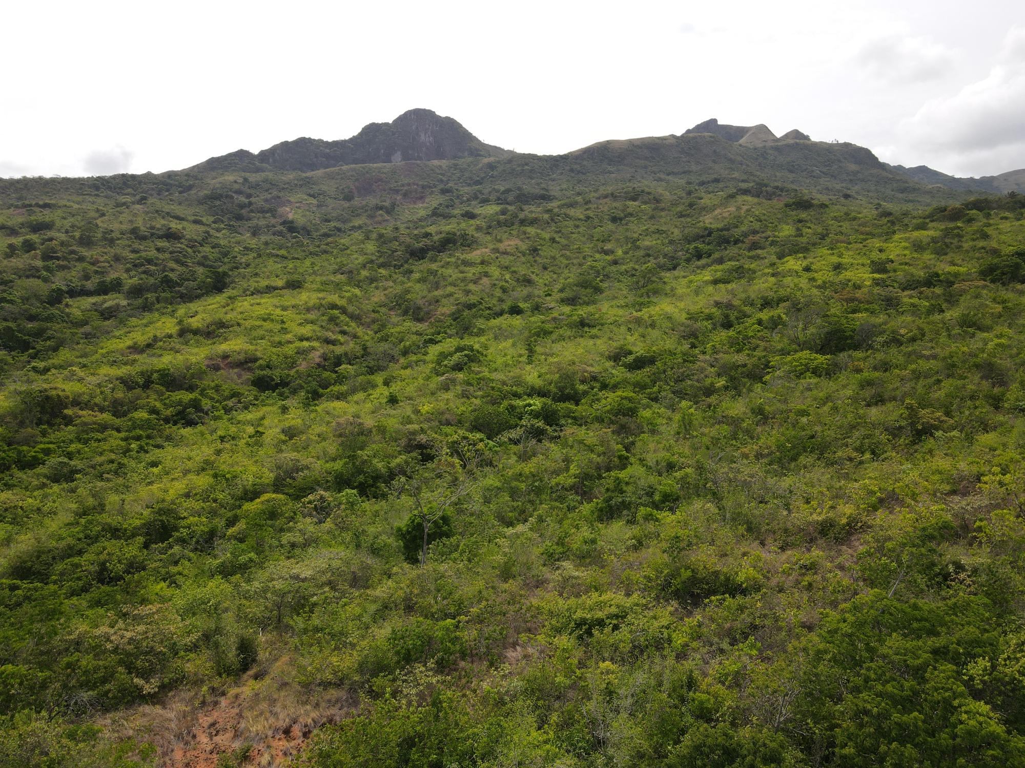 res-000065f4-01.jpg