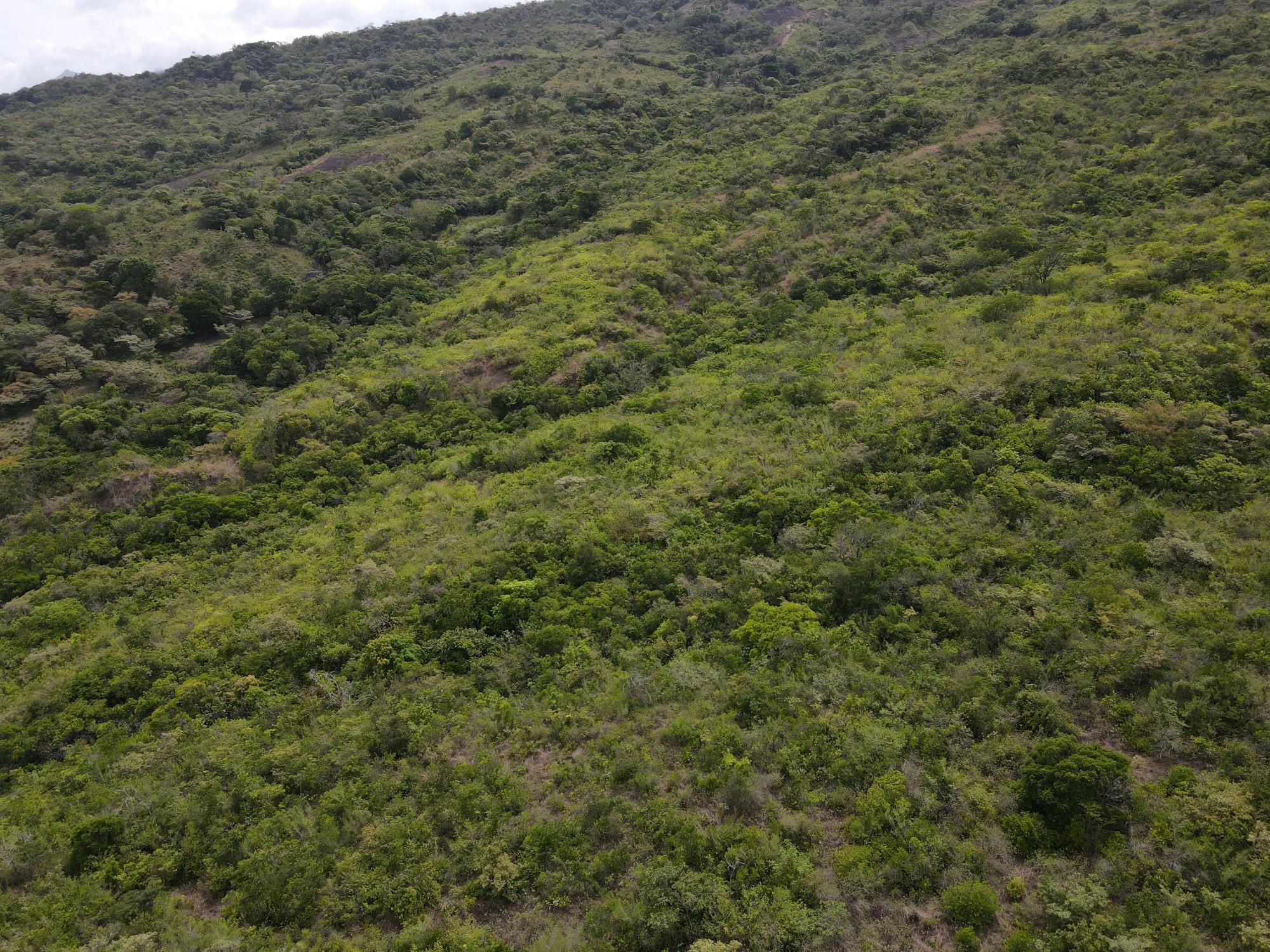 res-000065f4-02.jpg