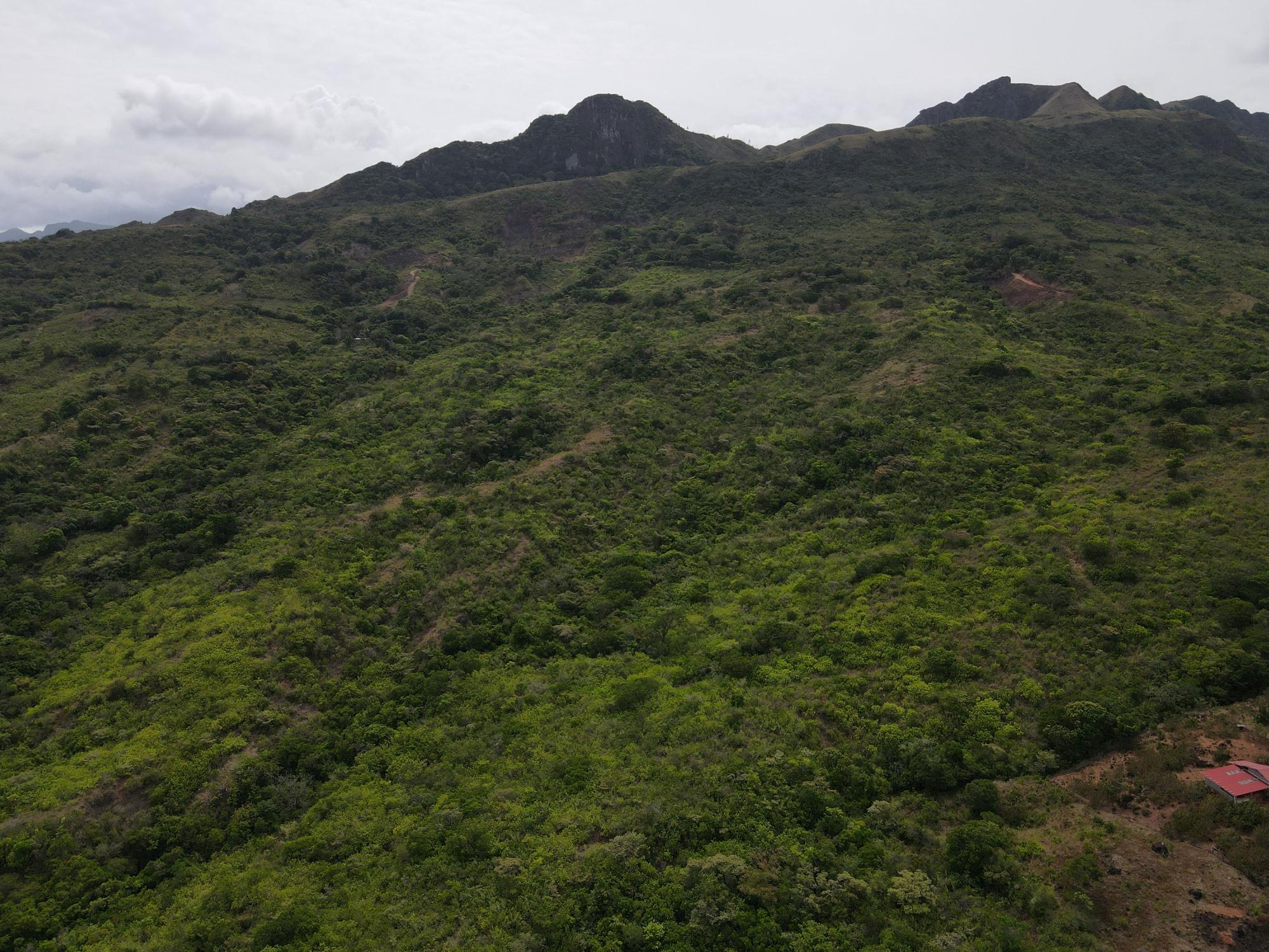 res-000065f4-04.jpg