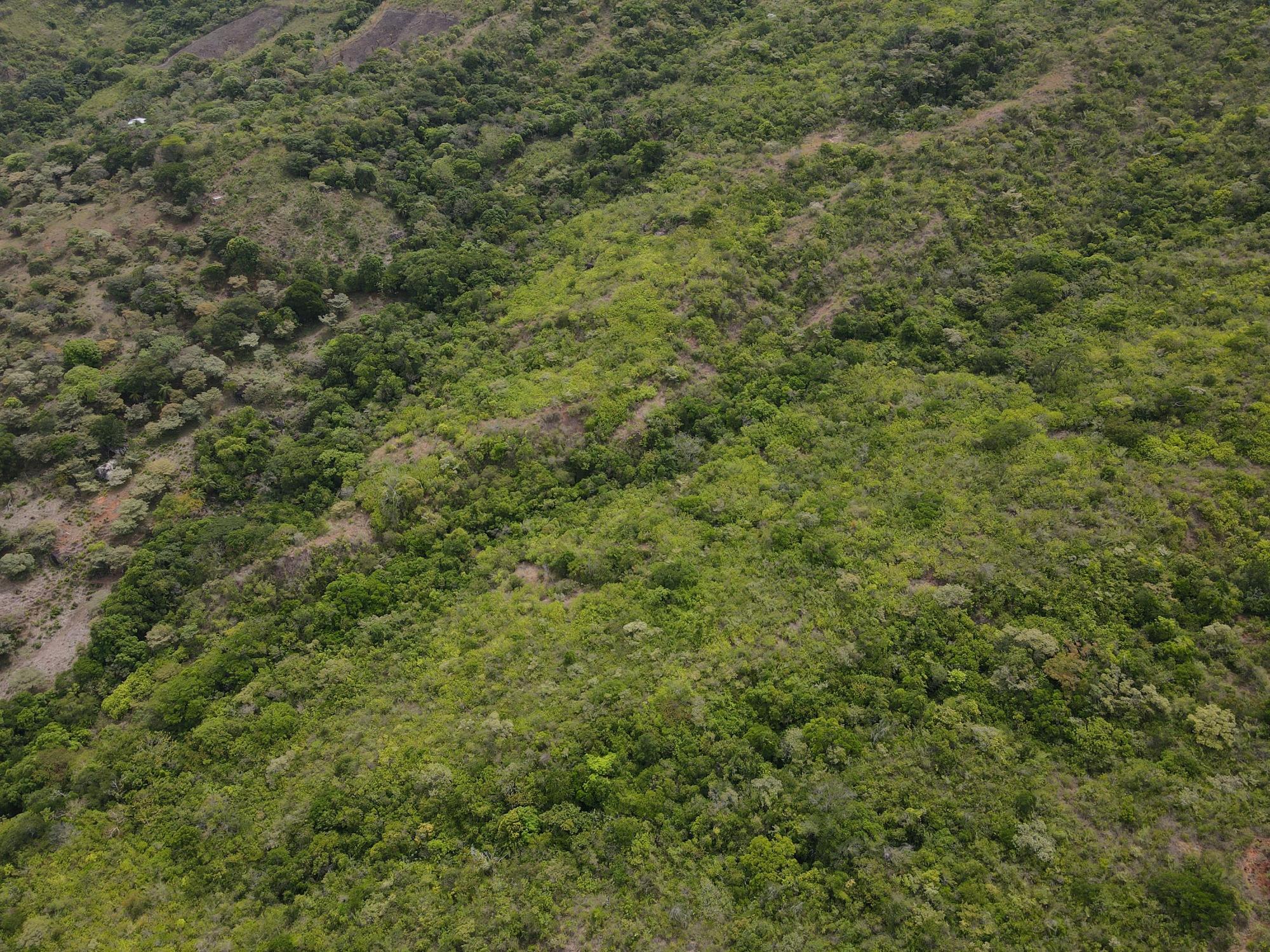 res-000065f4-06.jpg