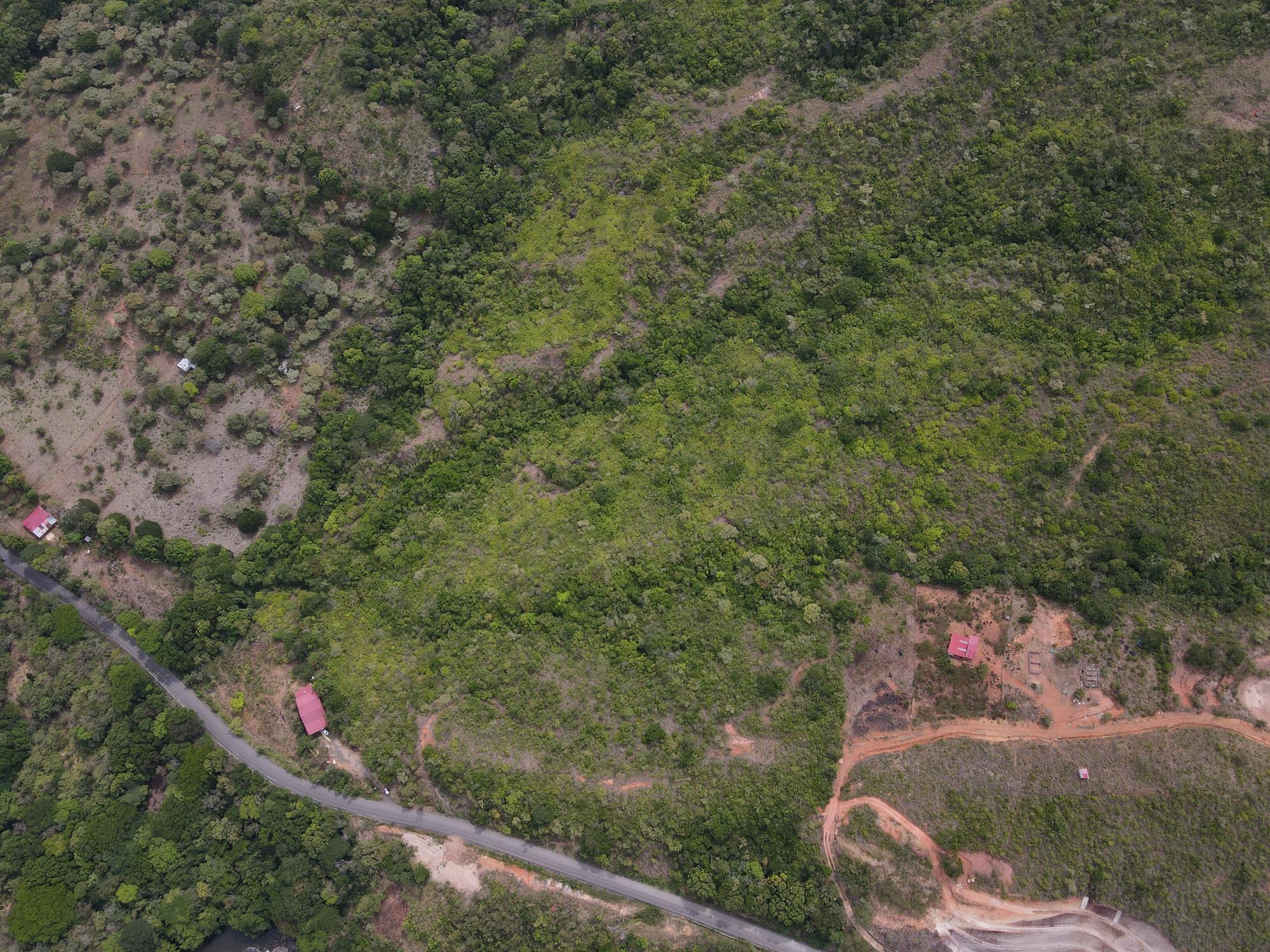 res-000065f4-14.jpg