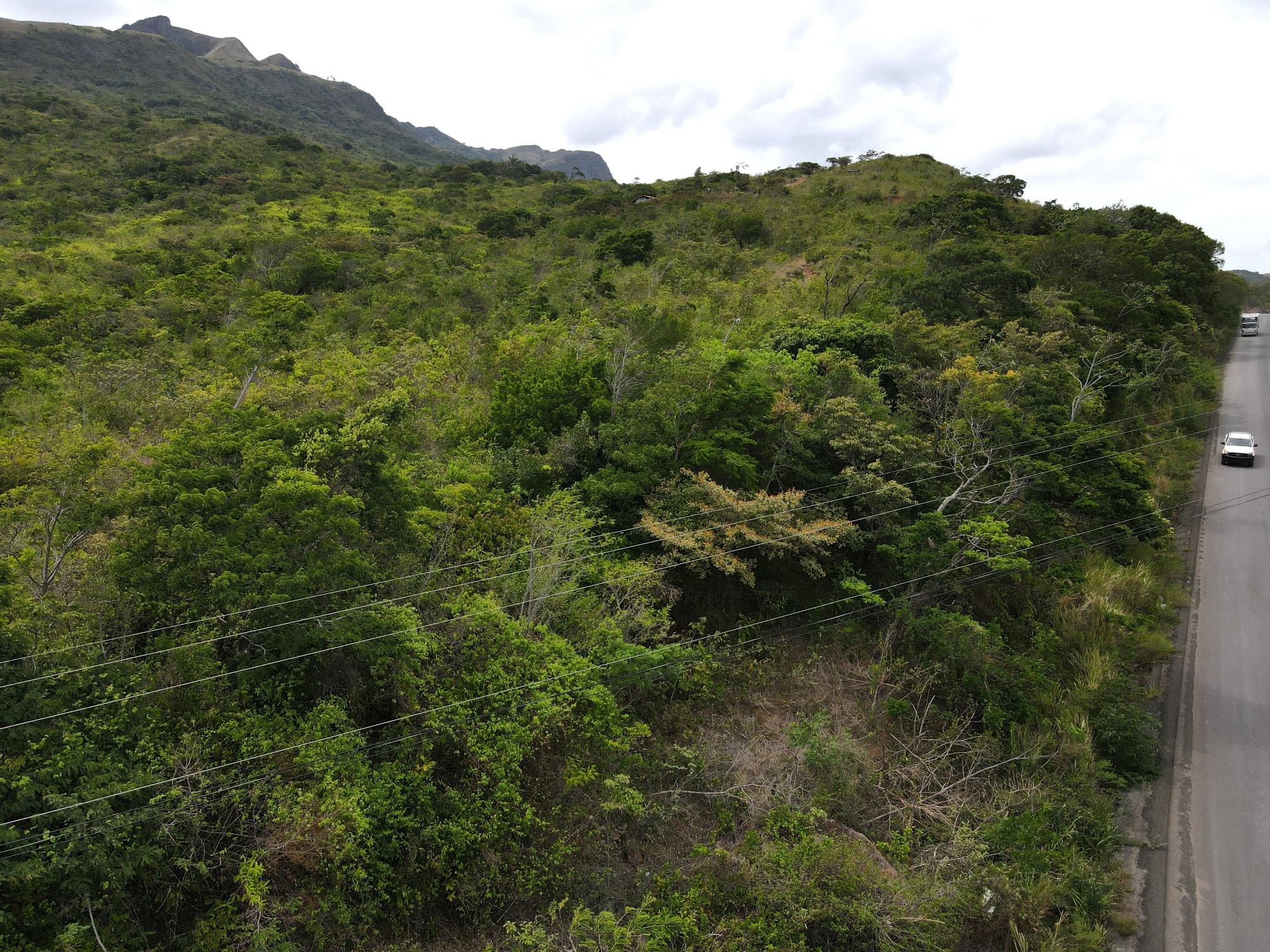 res-000065f4-19.jpg