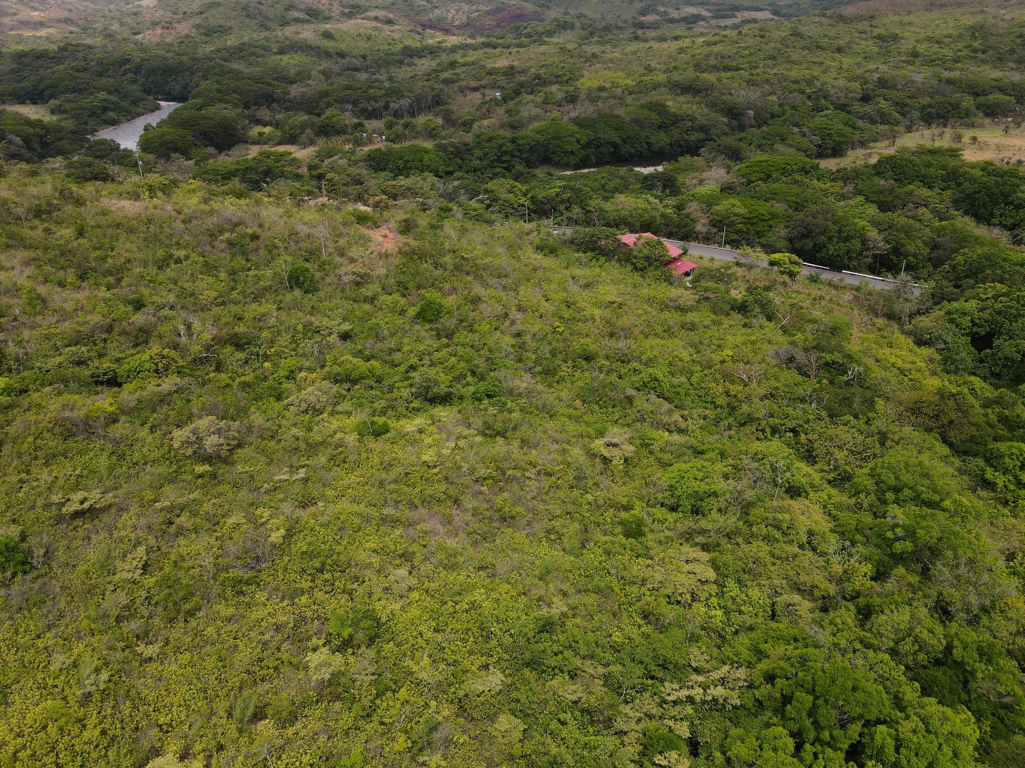 res-000065f4-20.jpg