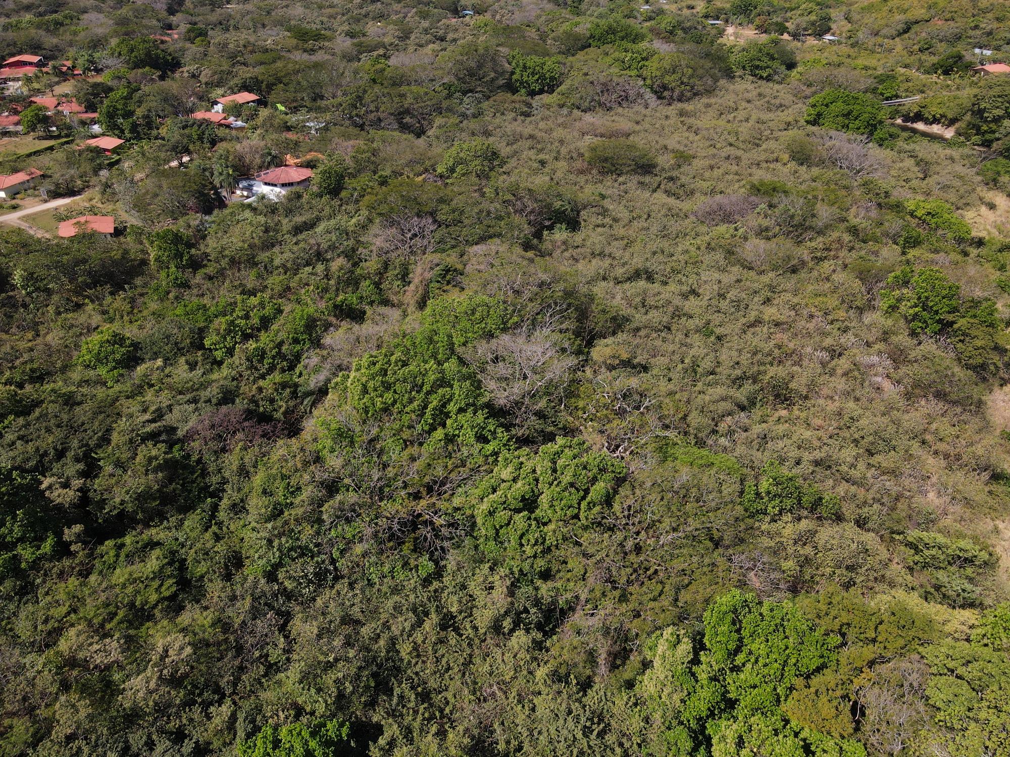 res-000065f5-07.jpg