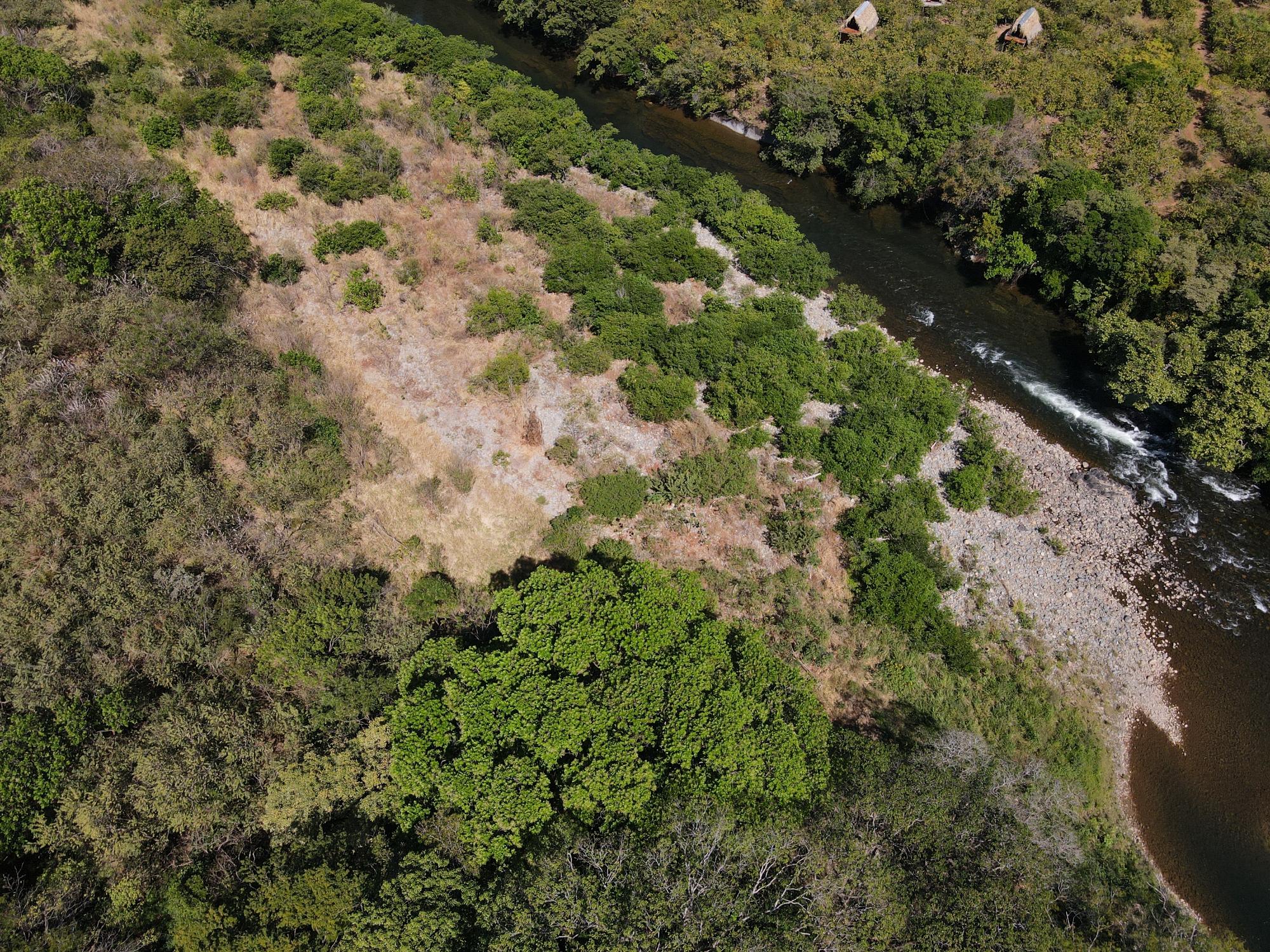 res-000065f5-11.jpg