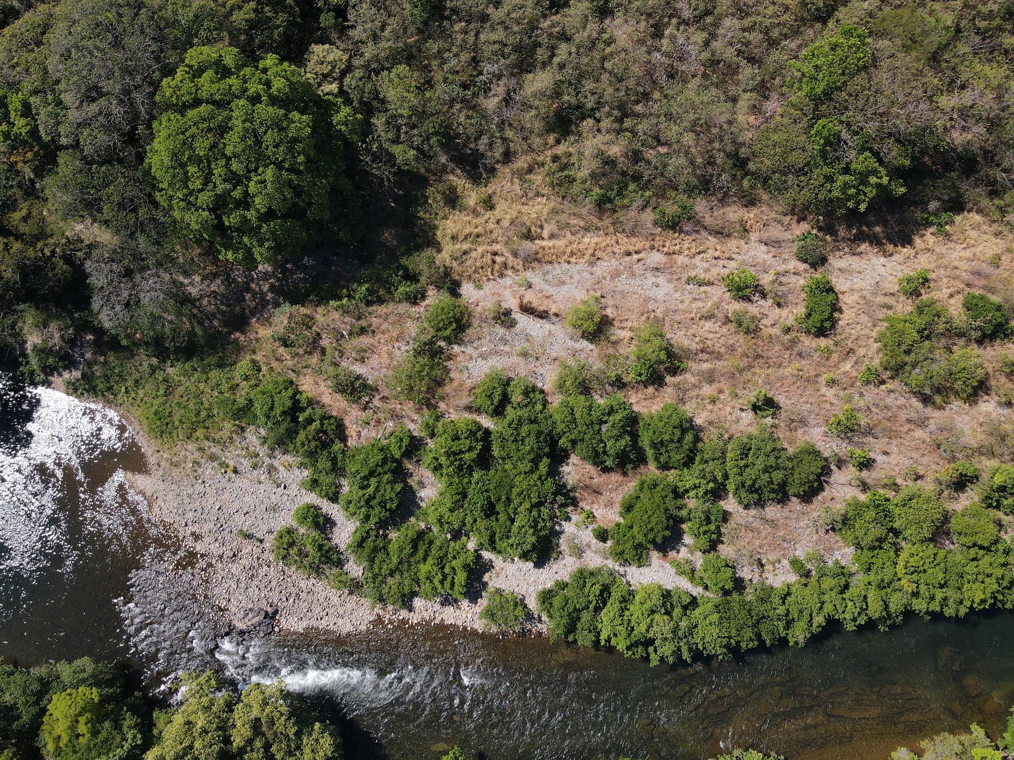 res-000065f5-16.jpg