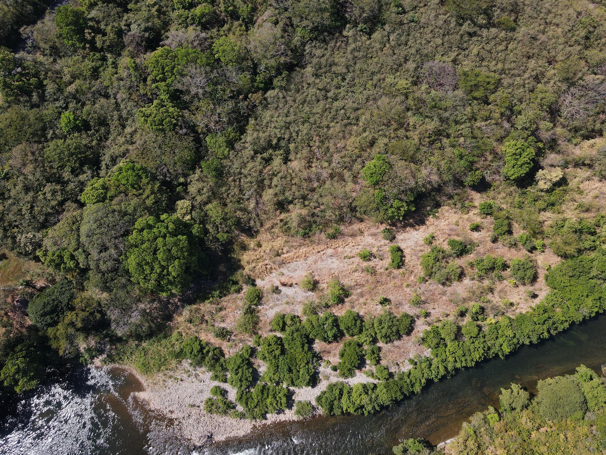 res-000065f5-19.jpg
