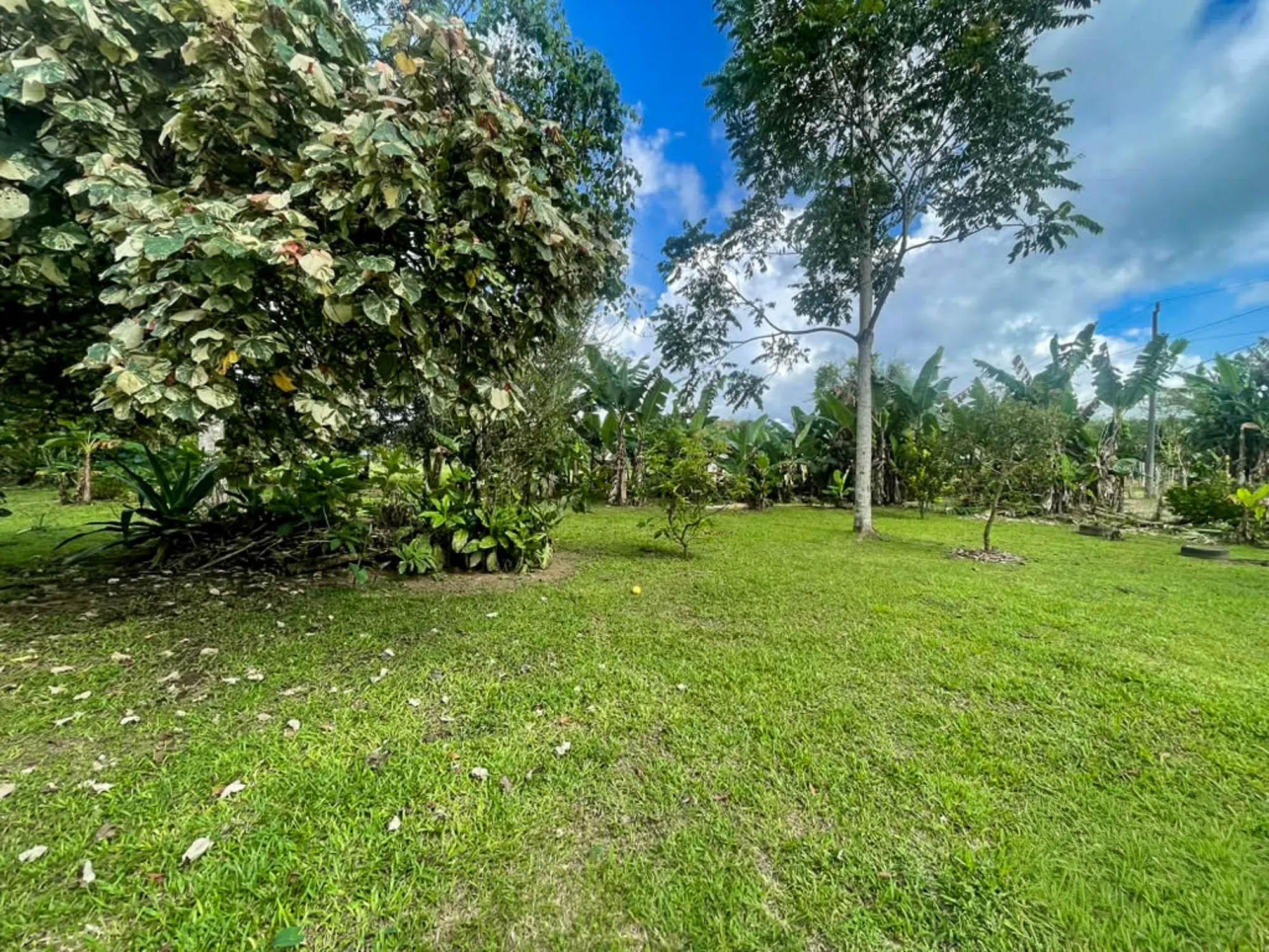 res-00006604-06.jpg