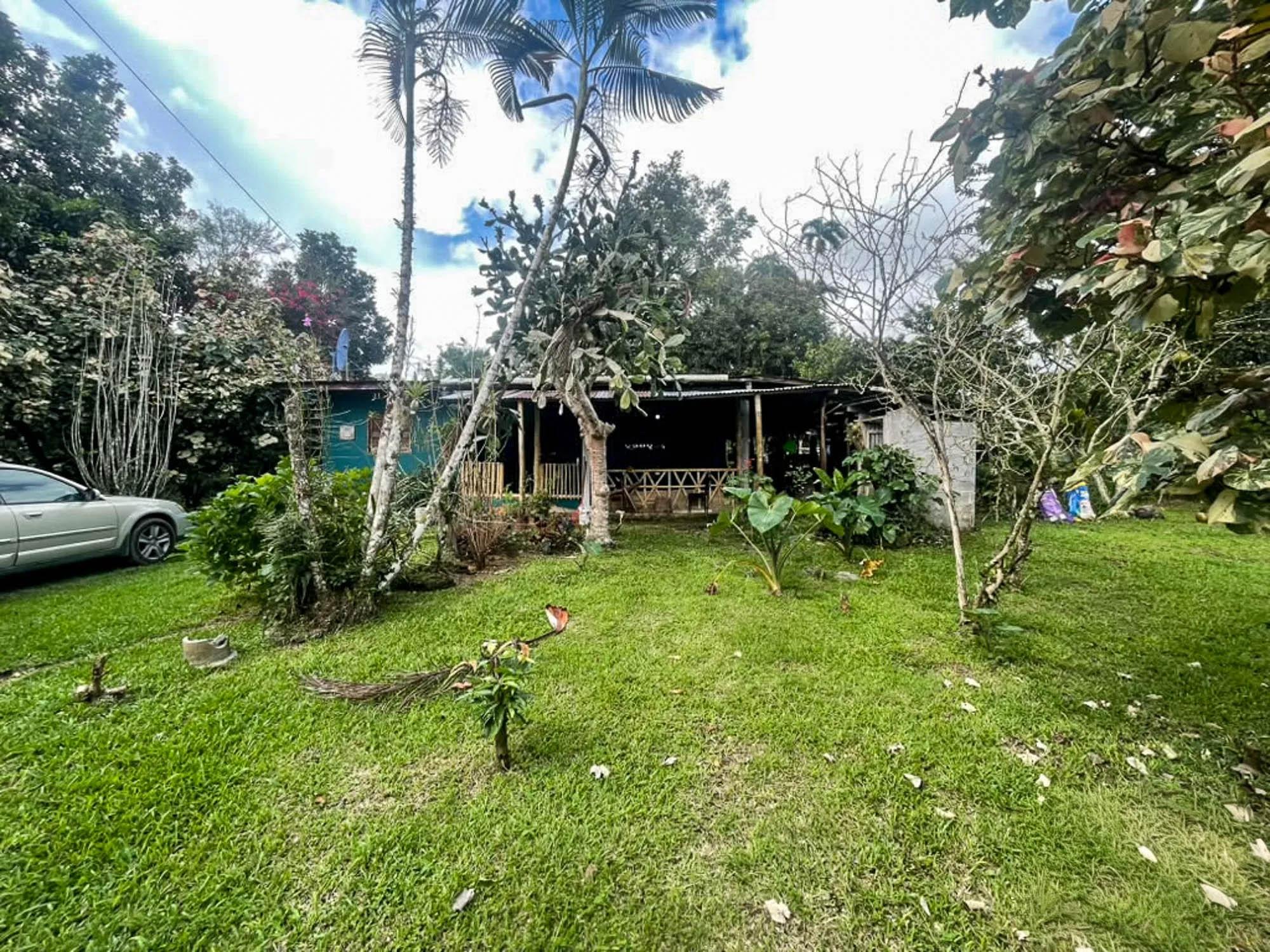 res-00006604-16.jpg