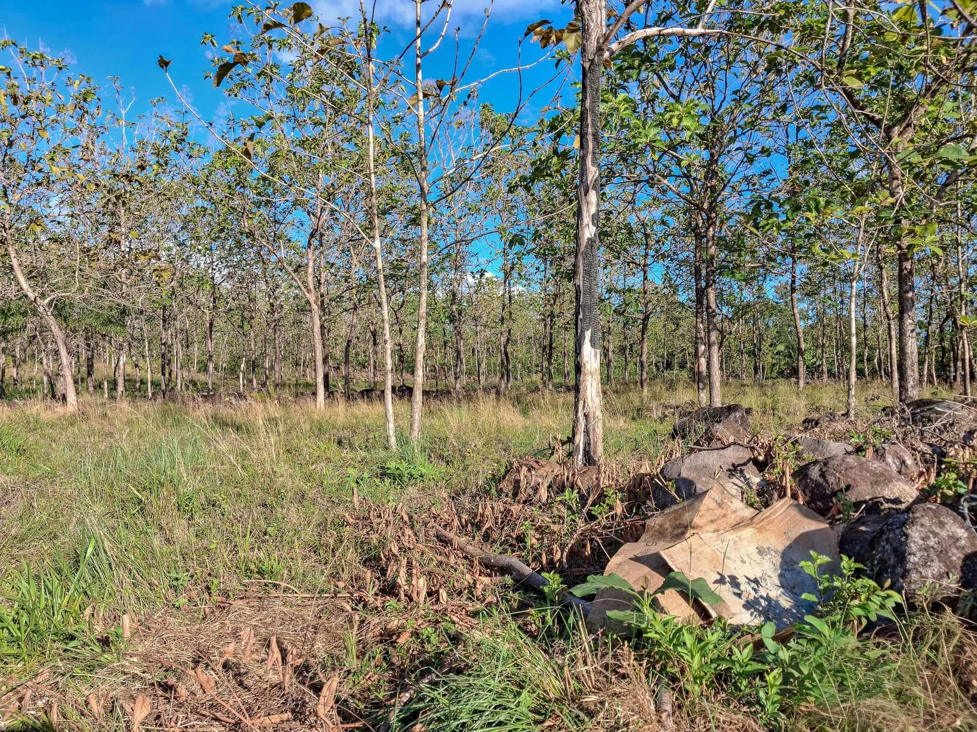 res-00006605-08.jpg