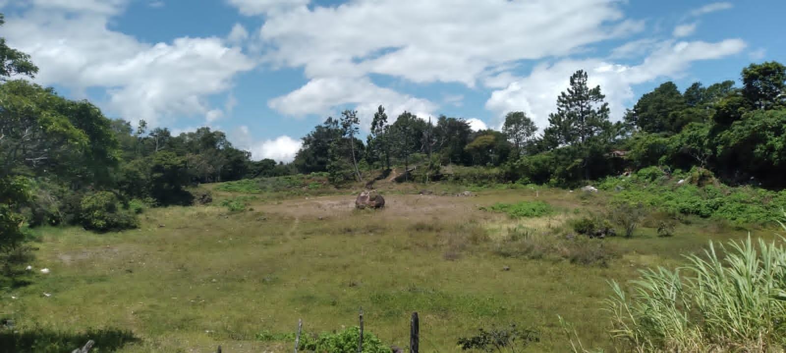 res-00006606-06.jpg