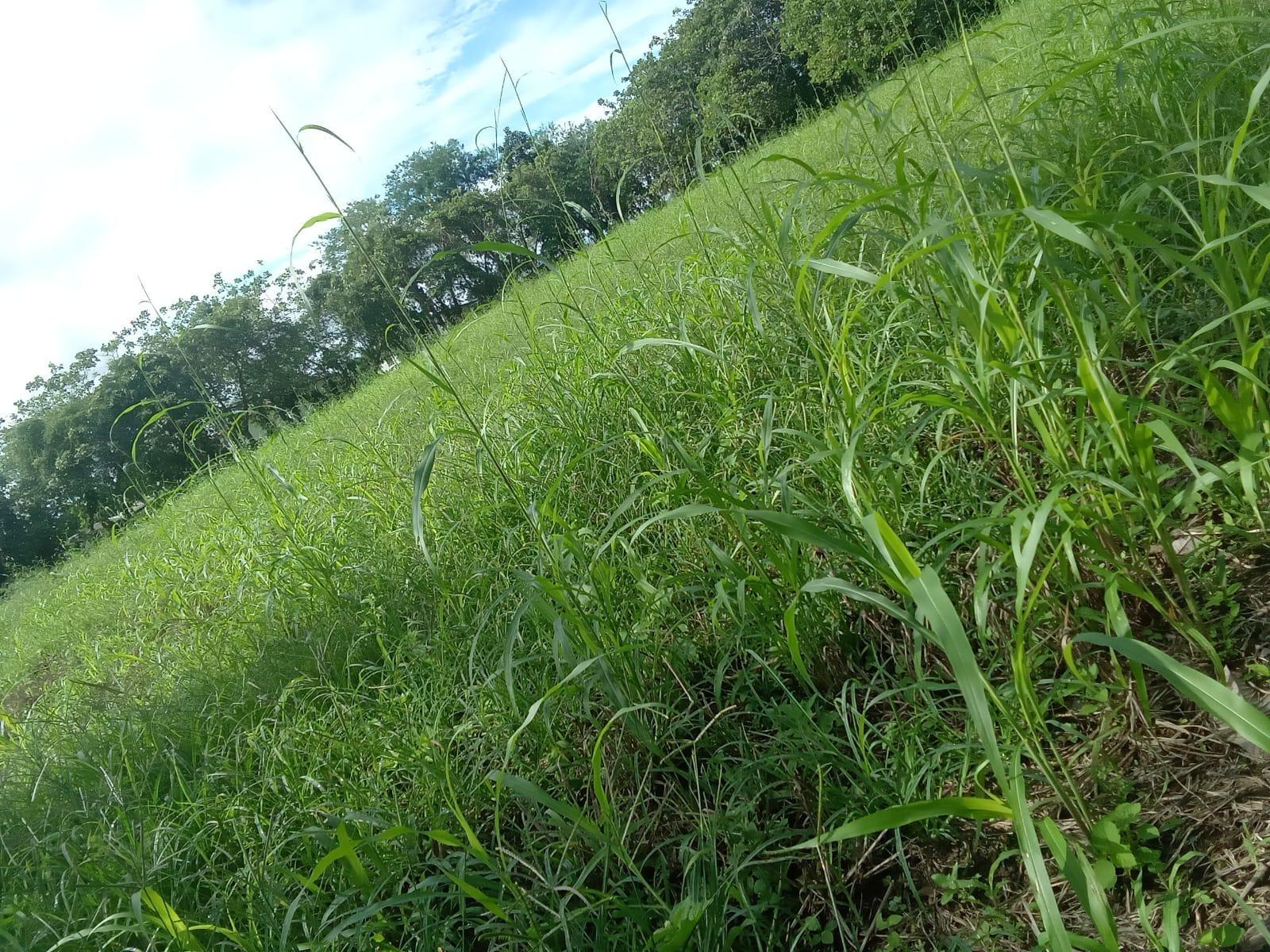 res-0000660e-01.jpg