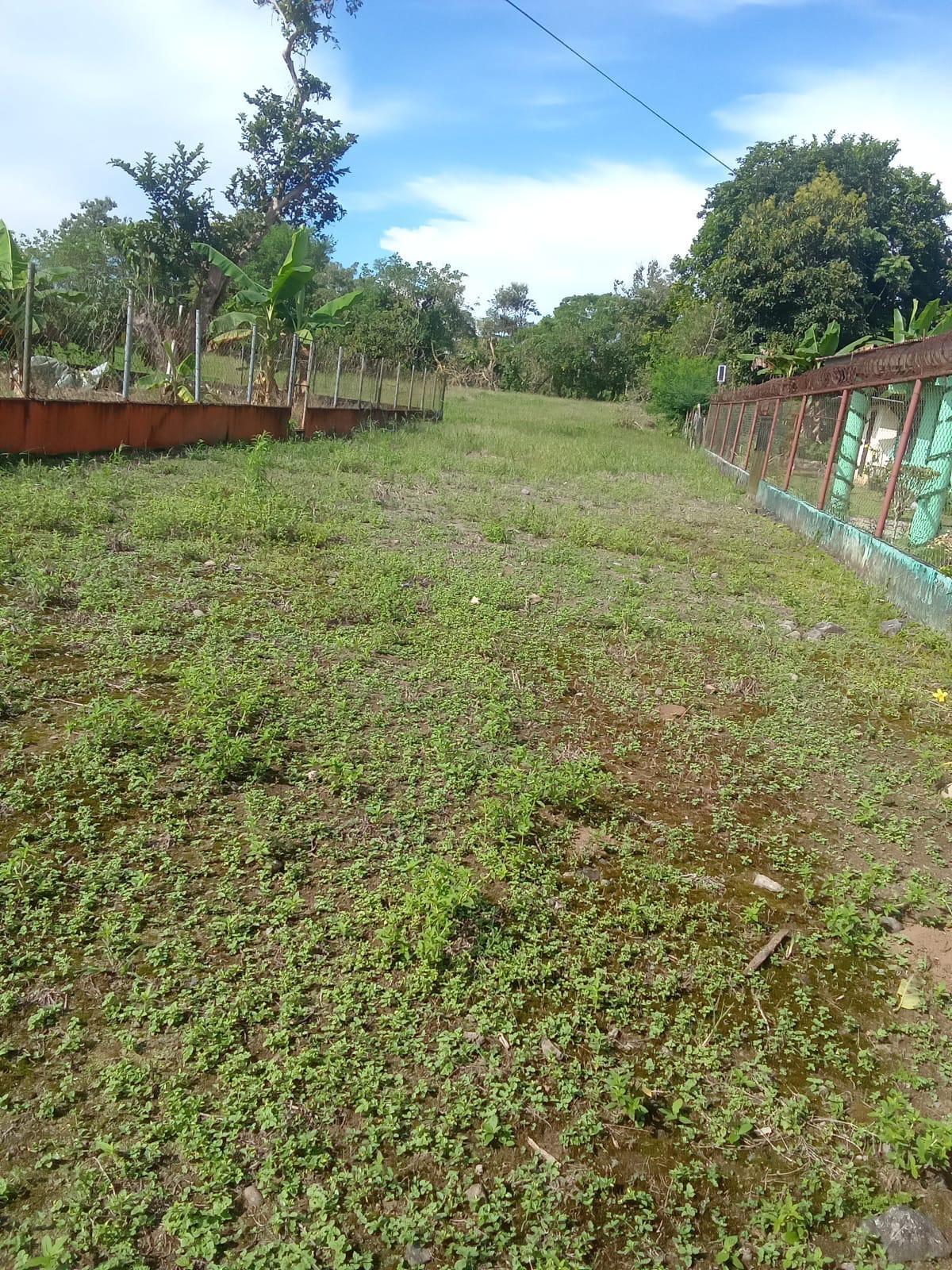 res-0000660e-02.jpg