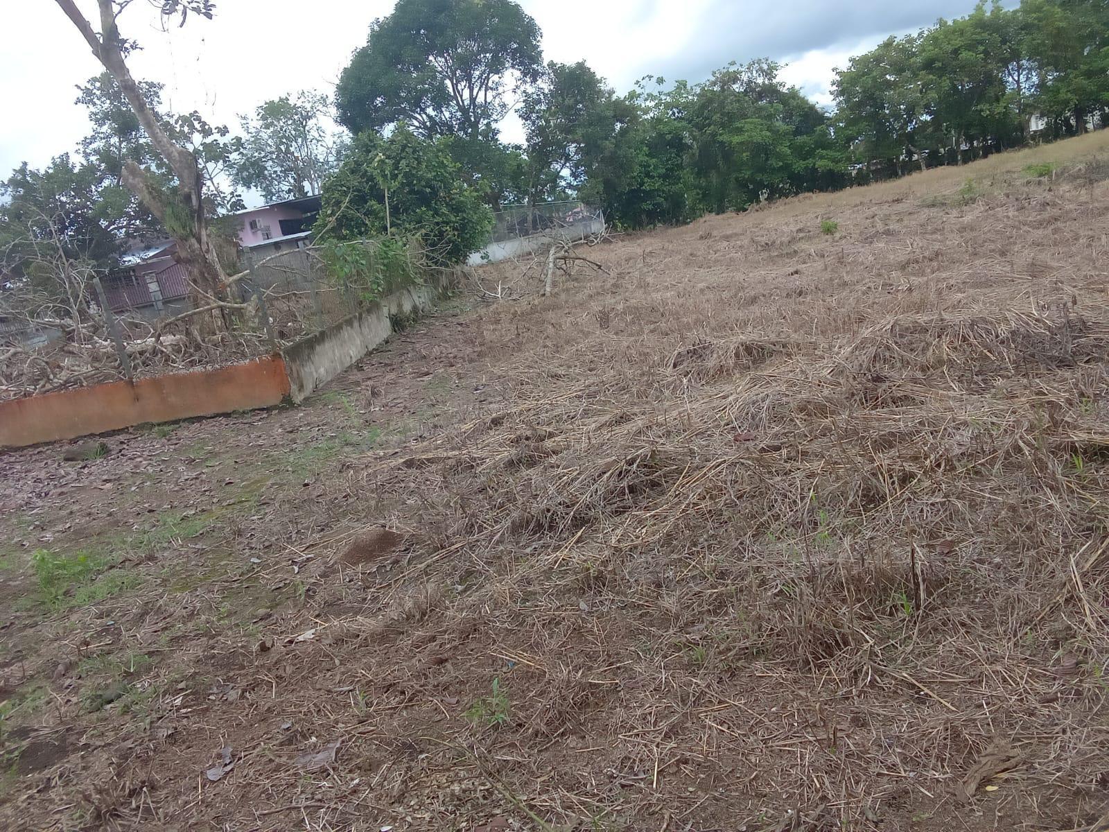 res-0000660e-09.jpg