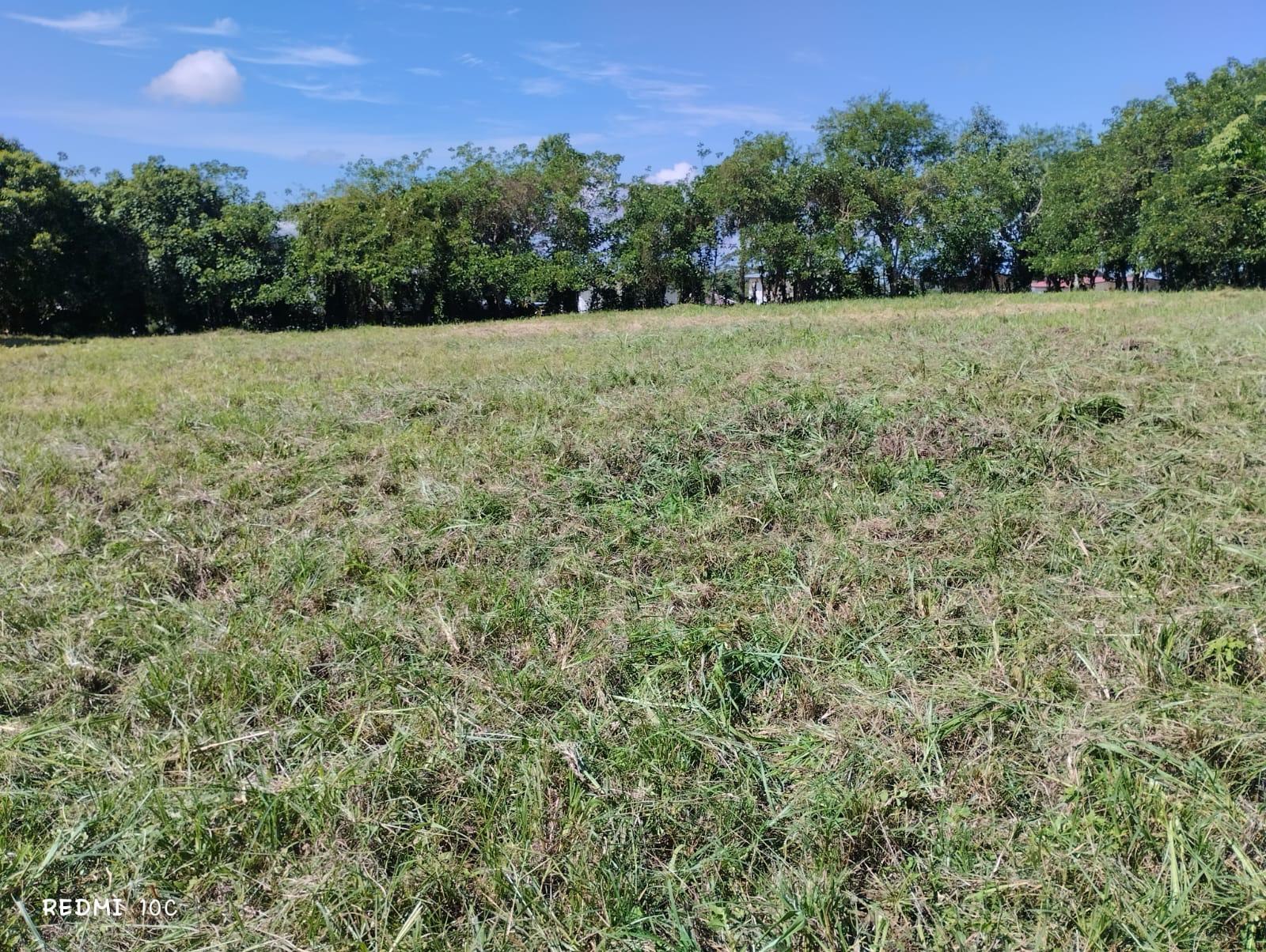 res-0000660e-10.jpg