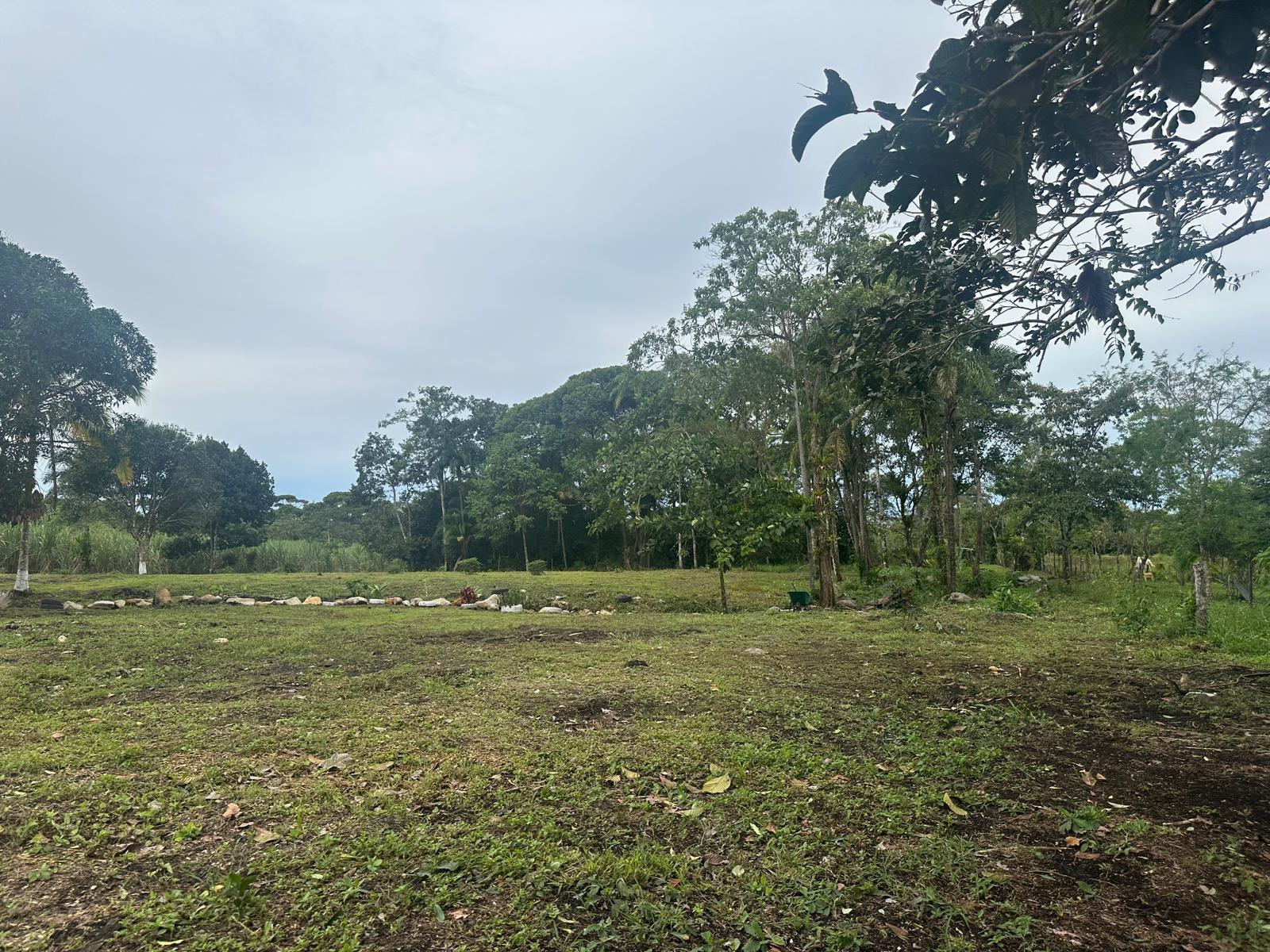 res-0000660f-07.jpg