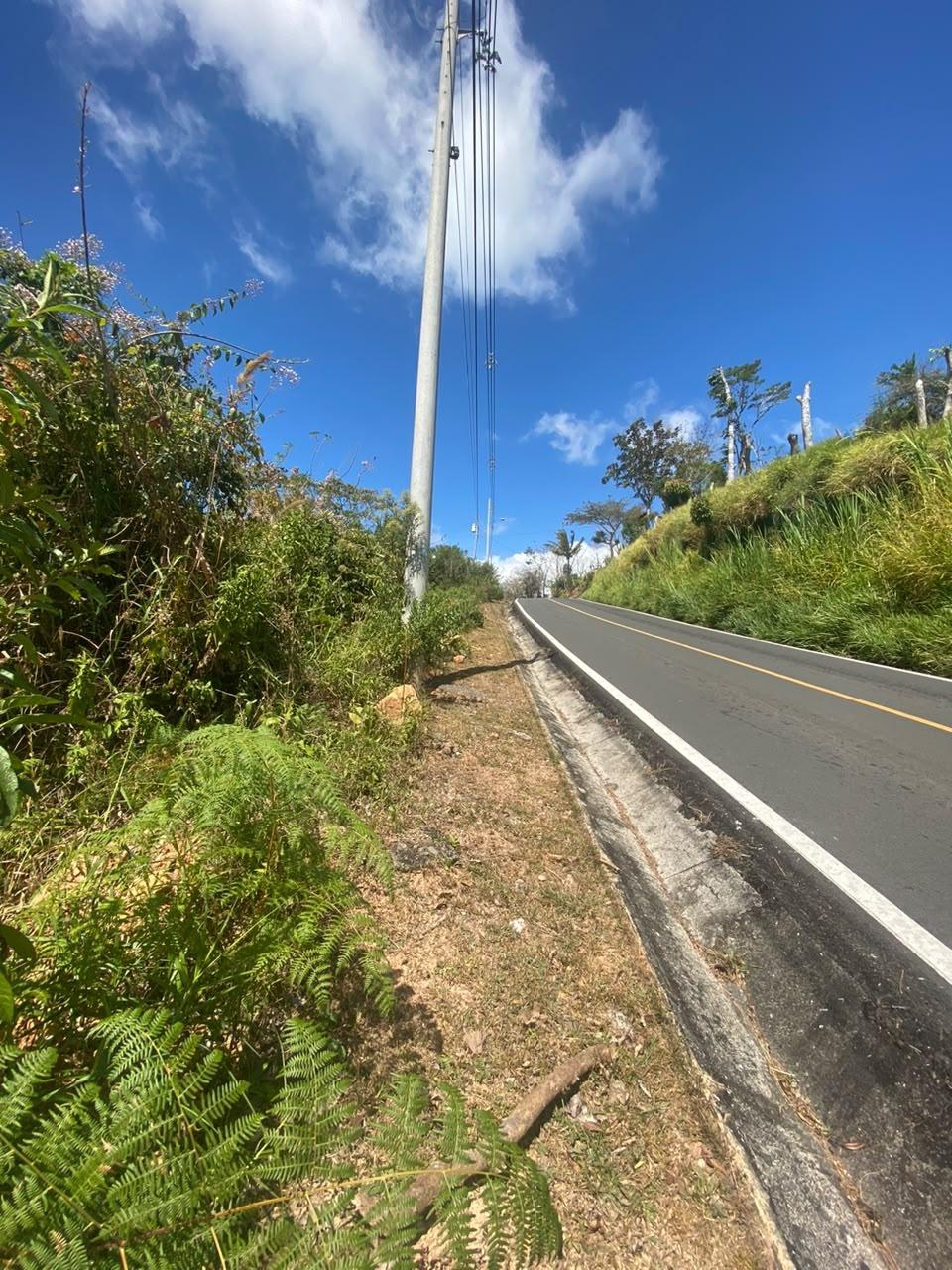 res-00006617-05.jpg