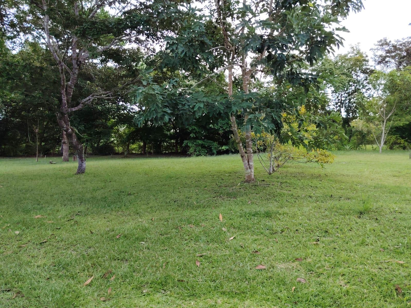 res-0000661d-16.jpg