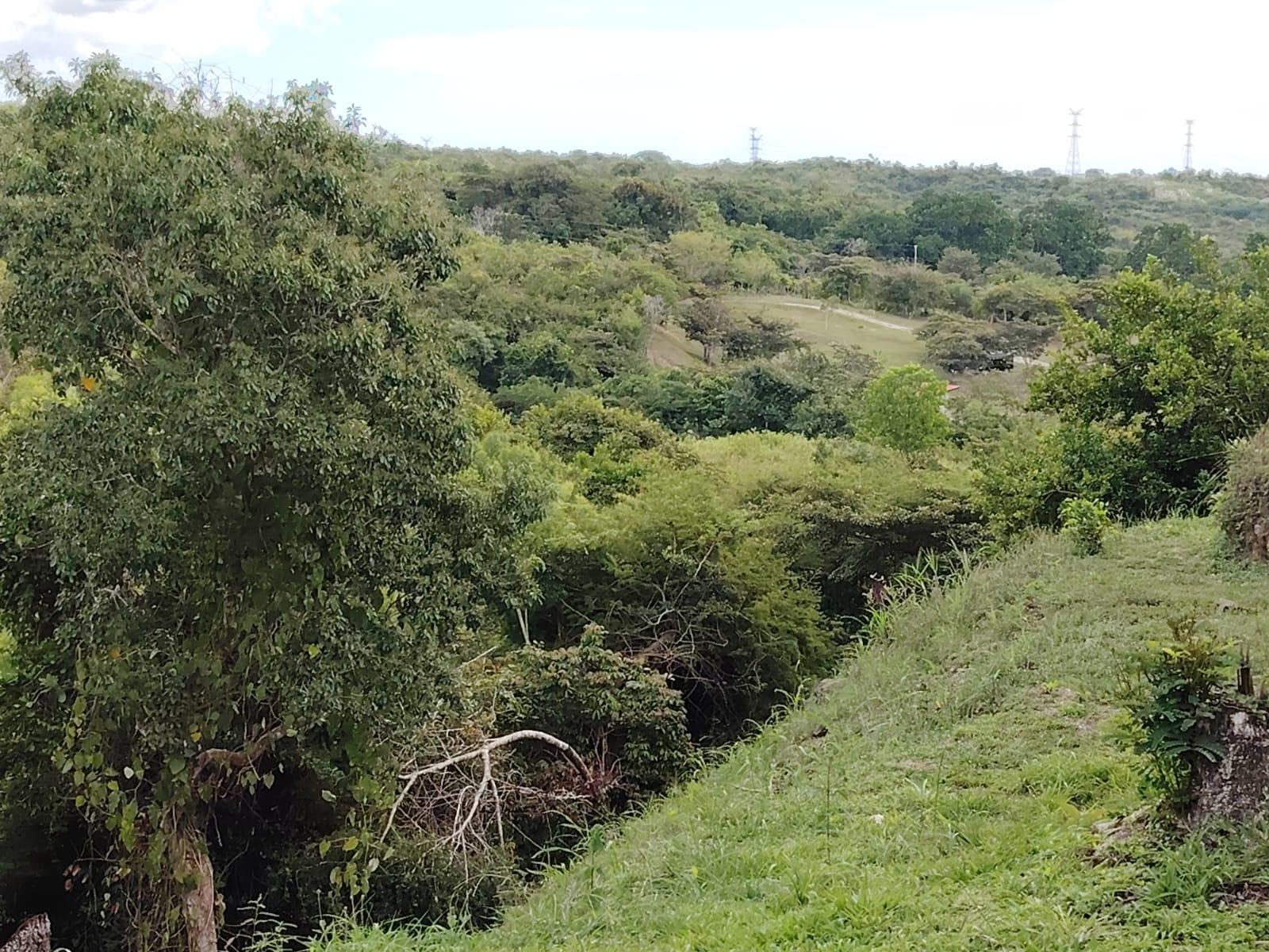 res-0000661d-18.jpg